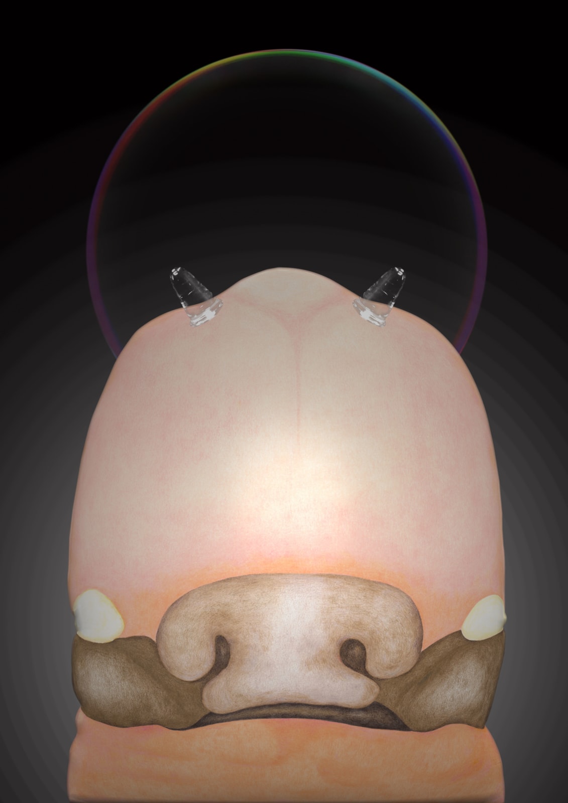 劉世芬 LIU Shih-Fen, 聖胚胎-1 Sacred Embryo-1, 2022