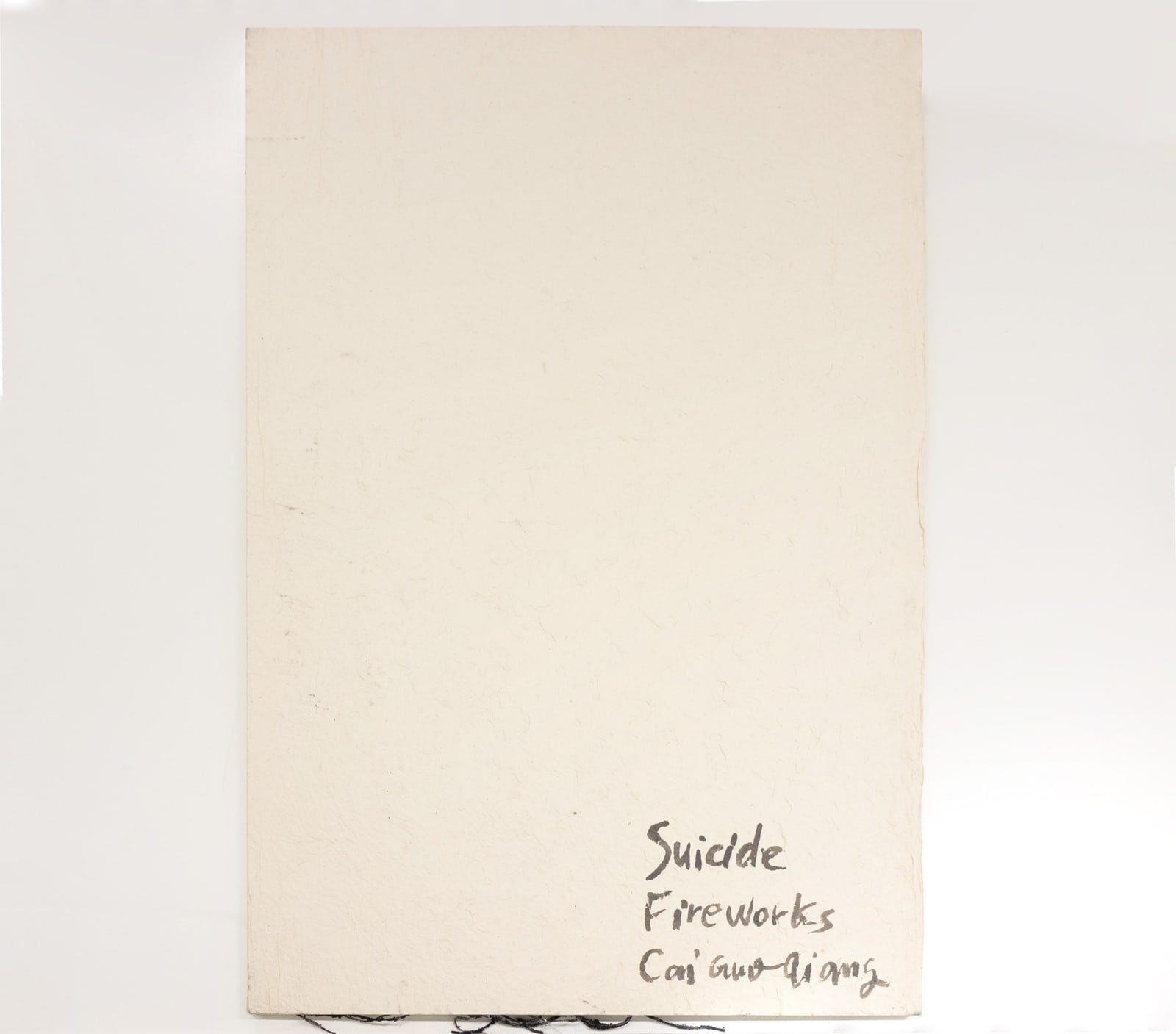 蔡國強 CAI Guo-Qiang, 危險書 Danger Book: Suicide Fireworks, 2007