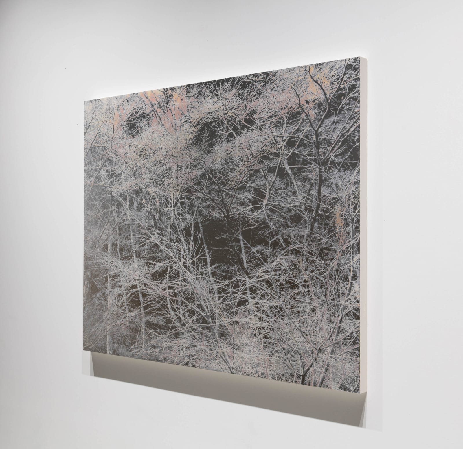 能條雅由 Masayoshi NOJO, 海市蜃樓 #71 Mirage #71, 2021