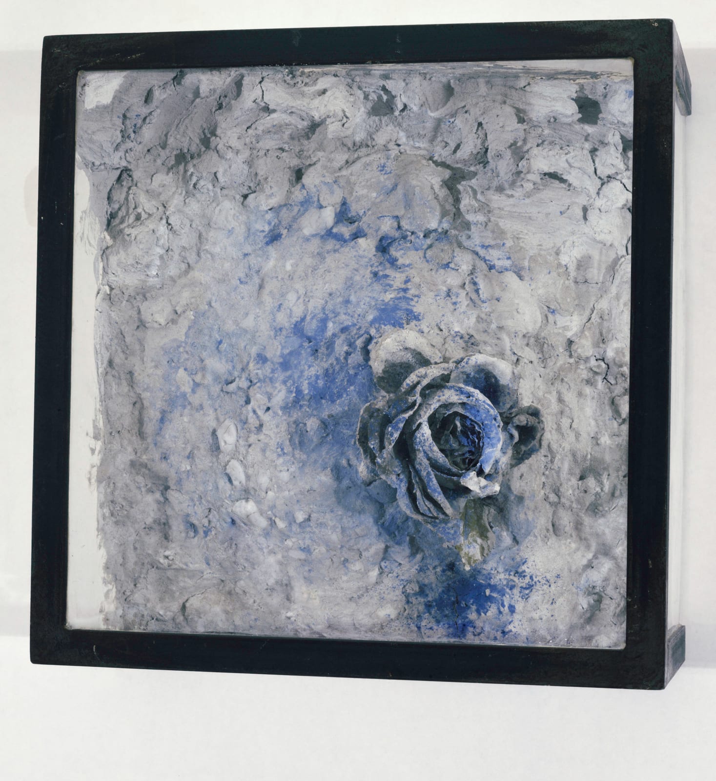 司徒強 SZETO Keung, 舍利 4 Sacred Relics 4, 2009