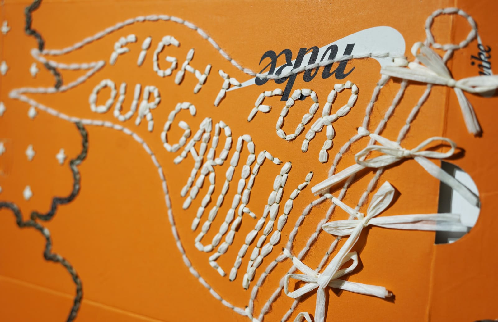 劉正堃 Abei LIU, 亂入系列- 在Nike鞋盒上捍衛我們的花園 Fight for our garden on Nike Shoe Box, 2024
