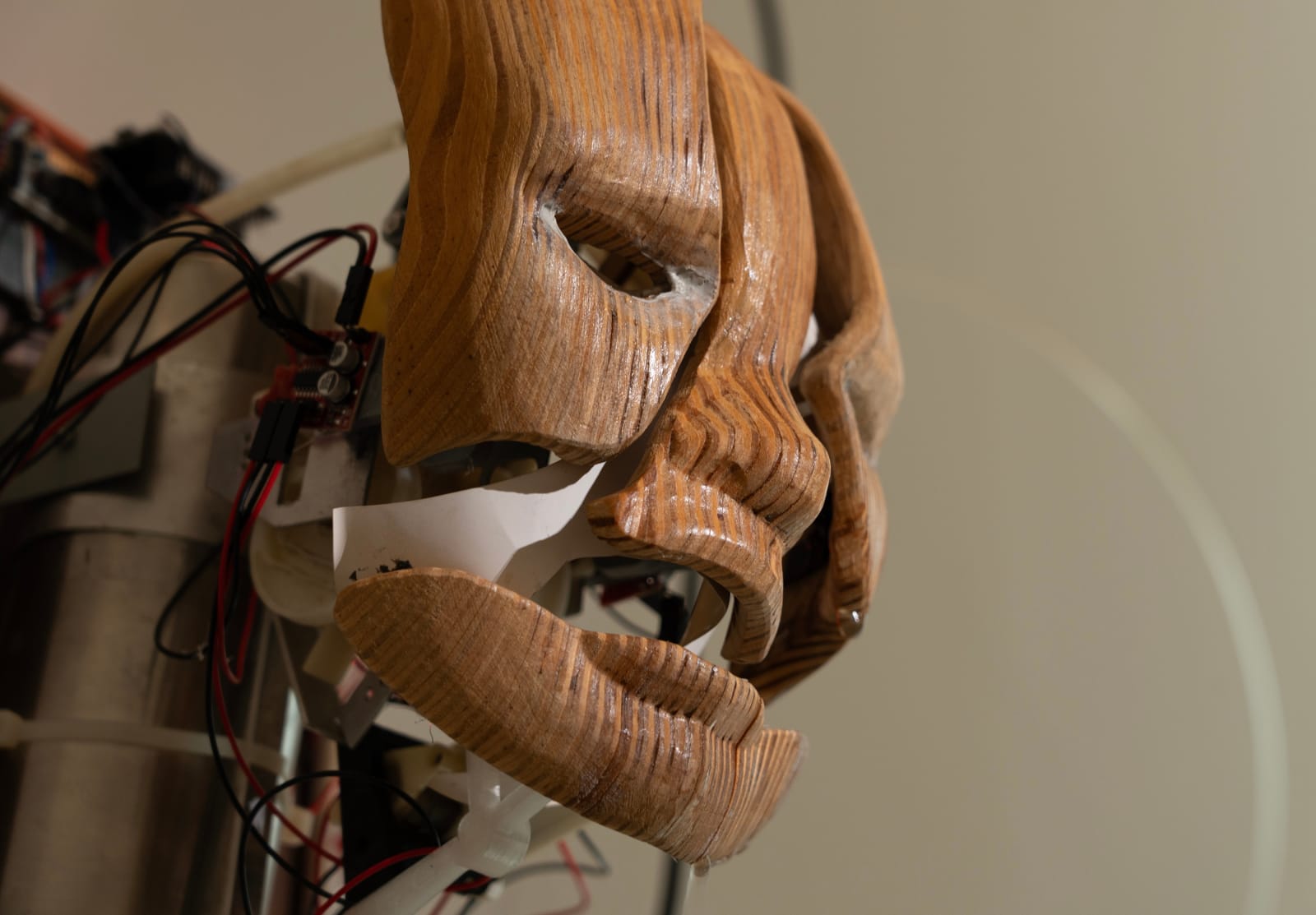 鄭先喻 HsienYu CHENG, Portrait 2011, 2011