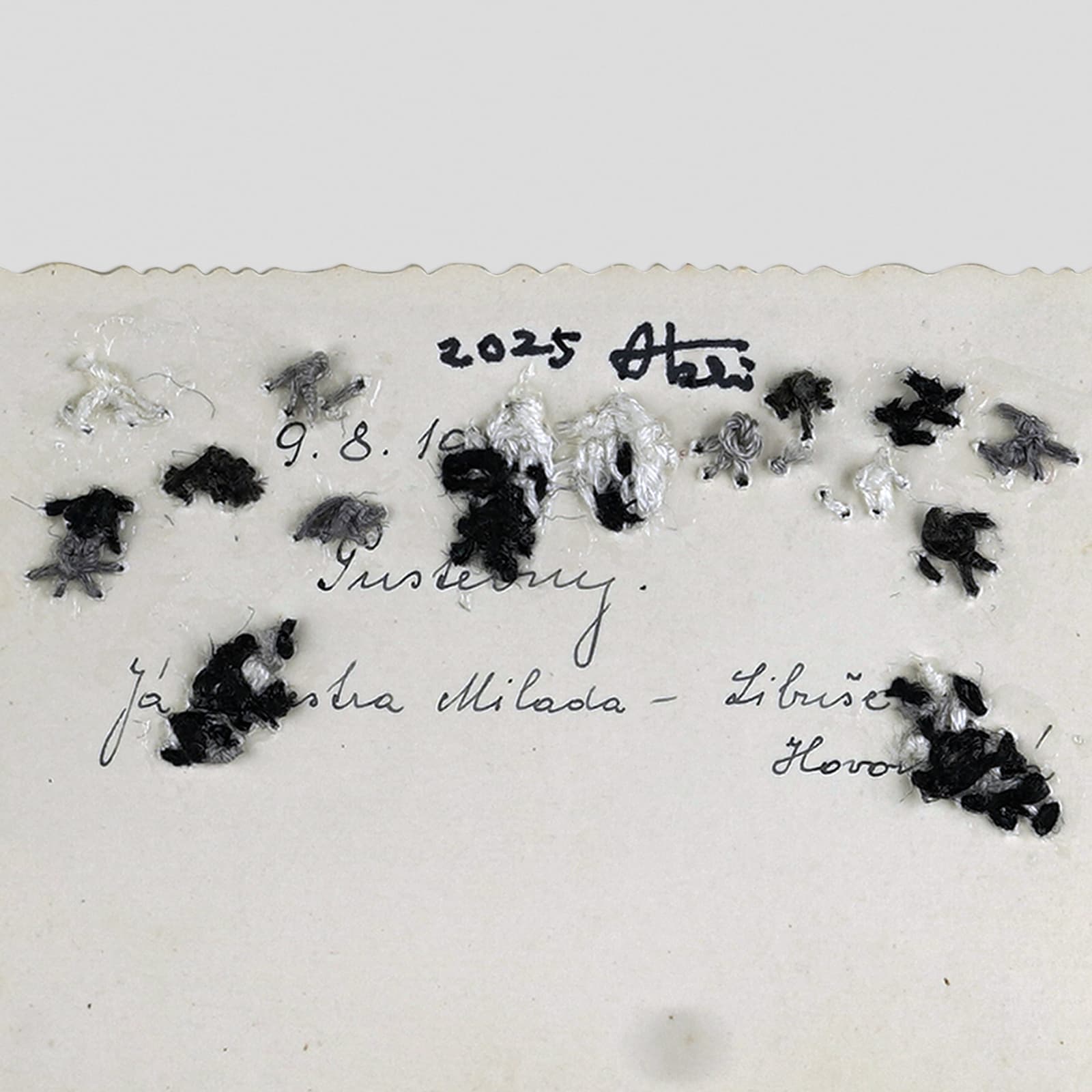 劉正堃 Abei LIU, 亂入系列- 50s Family Photo I 50s Family Photo I, 2025