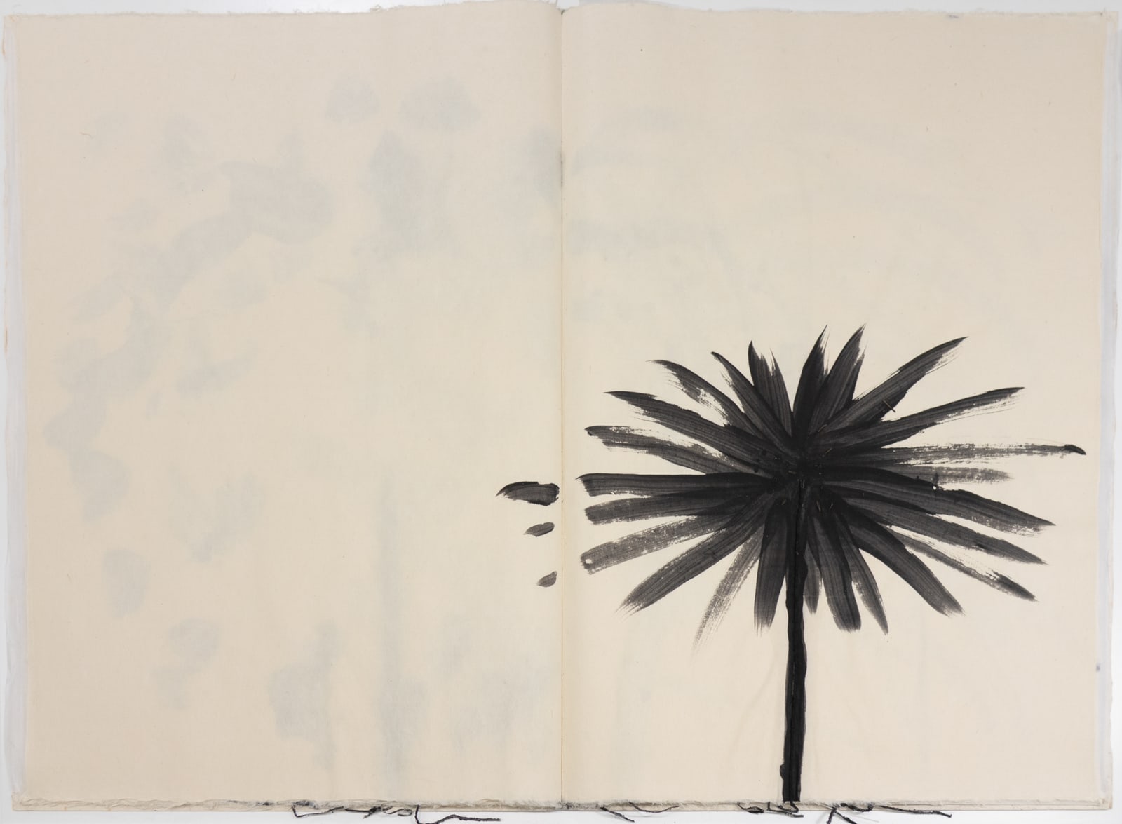 蔡國強 CAI Guo-Qiang, 危險書 Danger Book: Suicide Fireworks, 2007