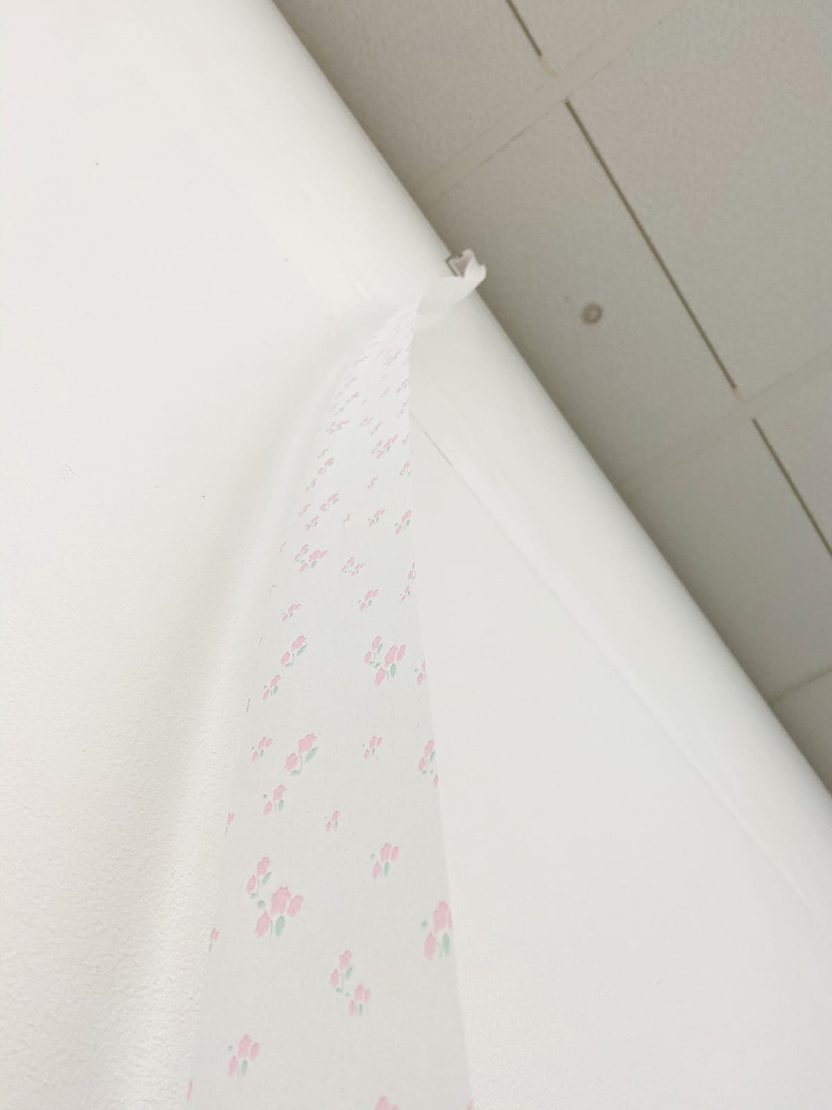 賴志盛 LAI Chih-Sheng, 手紙 Letter, 2019
