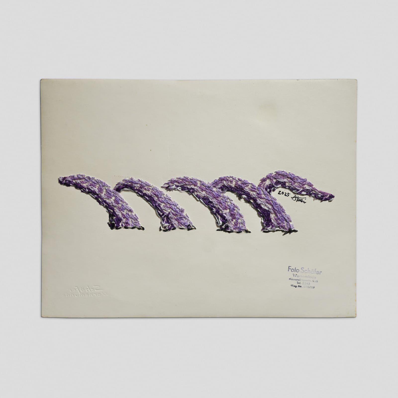 劉正堃 Abei LIU, 亂入系列- Photo of the Halberstadt from Warnemünde, Taken by Schäfer , 2025