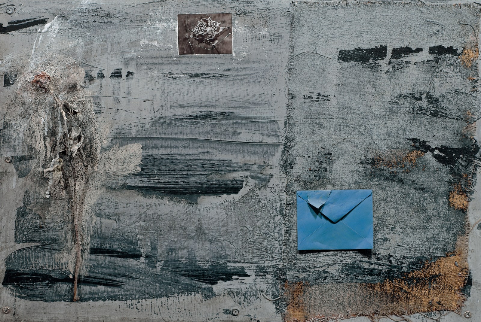 司徒強 SZETO Keung, 青鳥 II Blue Bird II, 1992