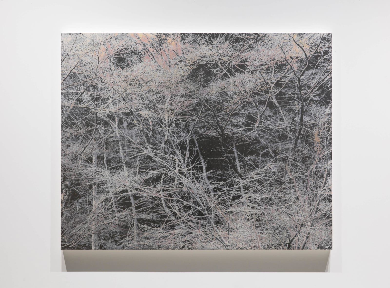 能條雅由 Masayoshi NOJO, 海市蜃樓 #71 Mirage #71, 2021