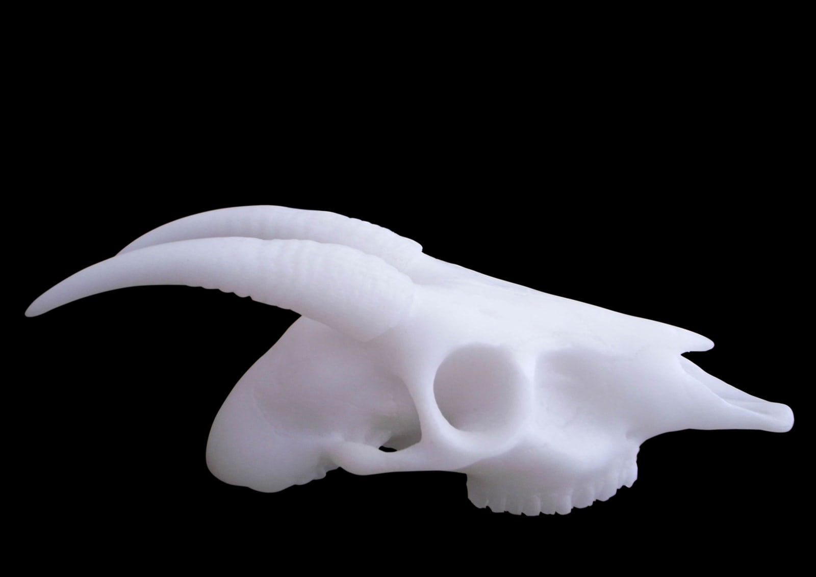 劉世芬 LIU Shih-Fen, 〈穆勒氏花園——羊走迷〉 Műllerian's Garden Sheep Wandering, 2013