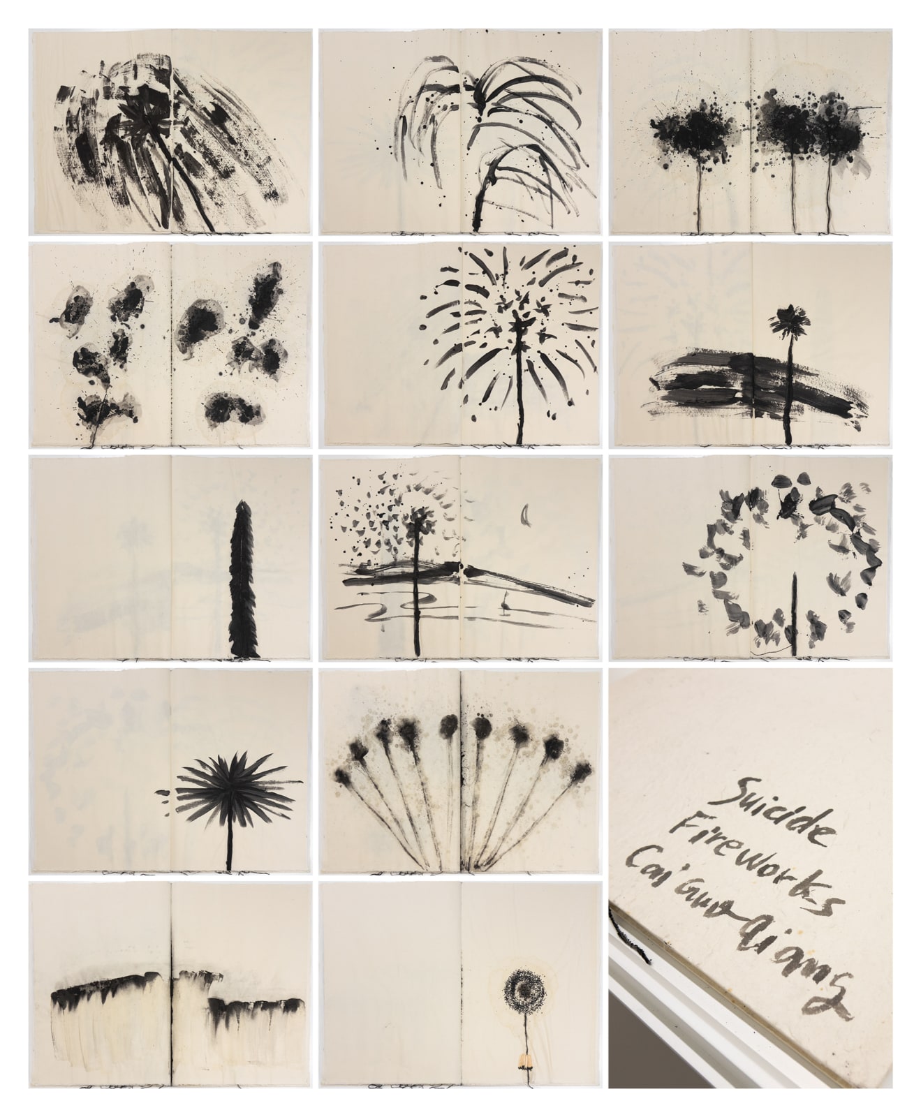 蔡國強 CAI Guo-Qiang, 危險書 Danger Book: Suicide Fireworks, 2007