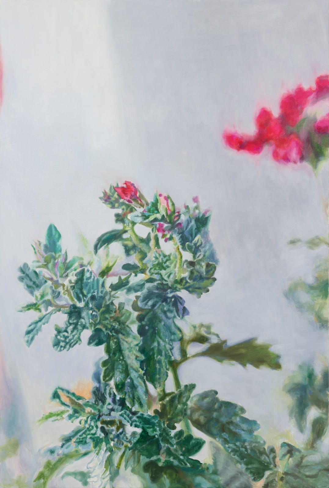 鄭君殿 JENG Jundian, 天竺葵 180910 House Geranium 180910, 2018