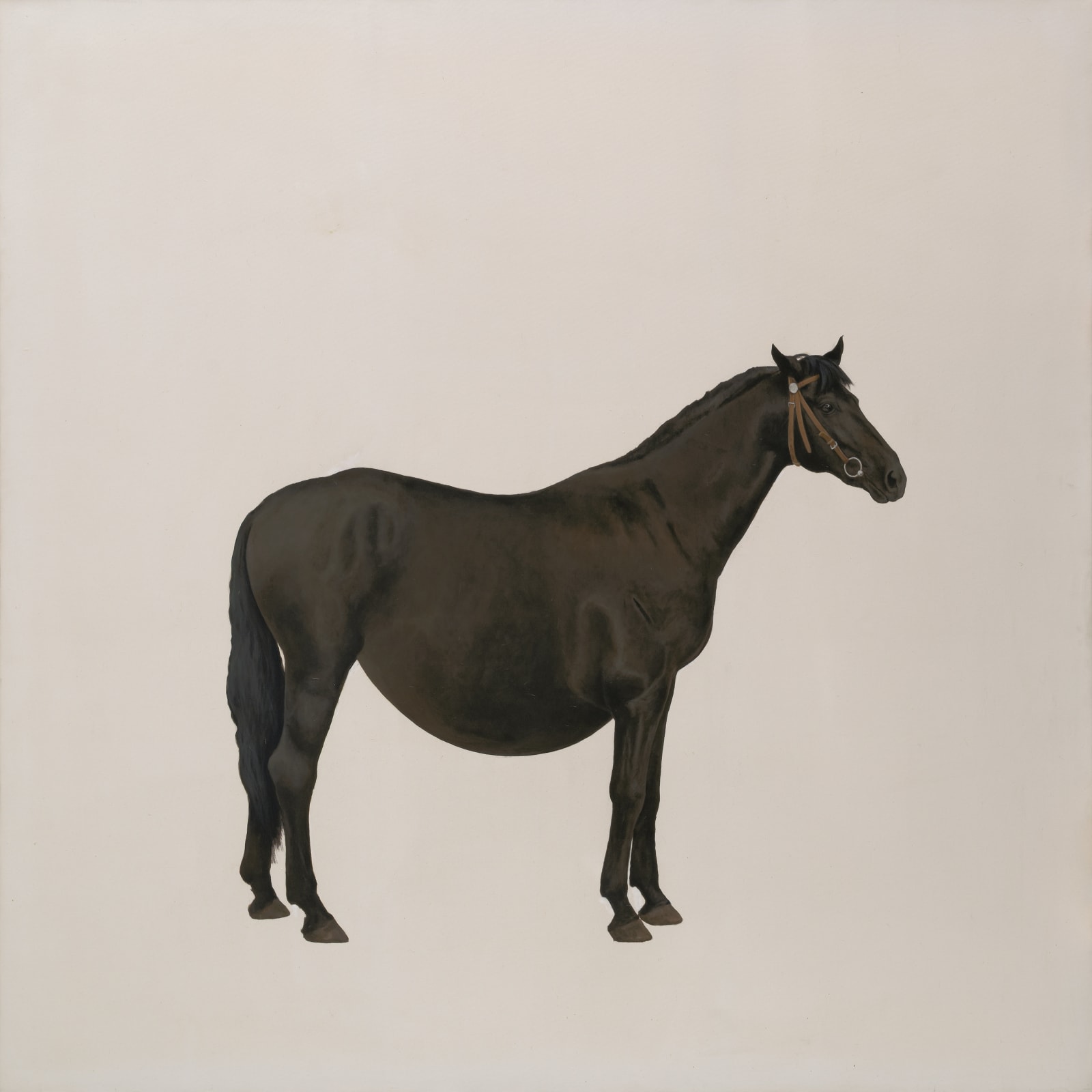 季大純 JI DaChun, 大腫馬 Alexandre Dumas, 2009