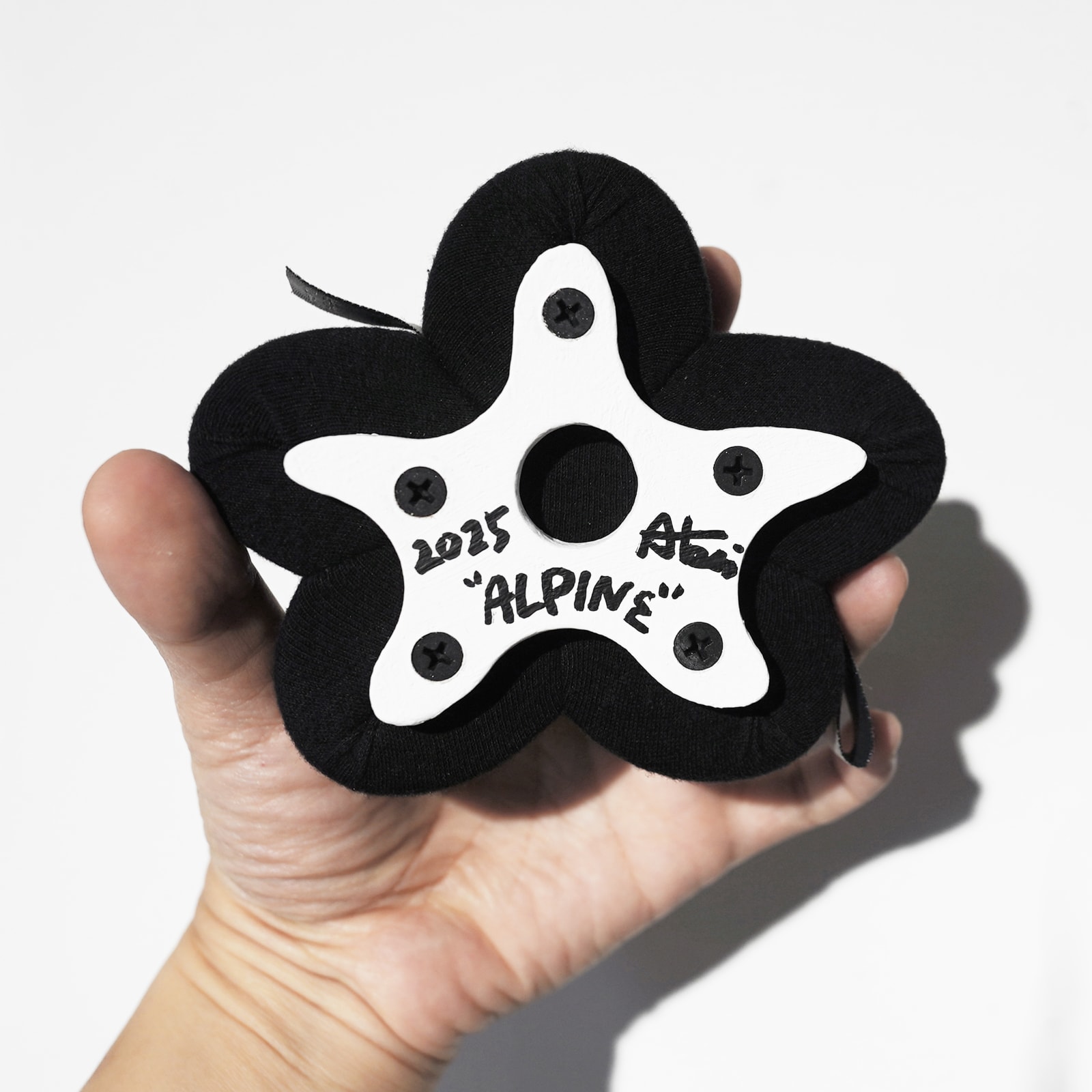 劉正堃 Abei LIU, Unseen and Undiscovered - Alpine, 2025