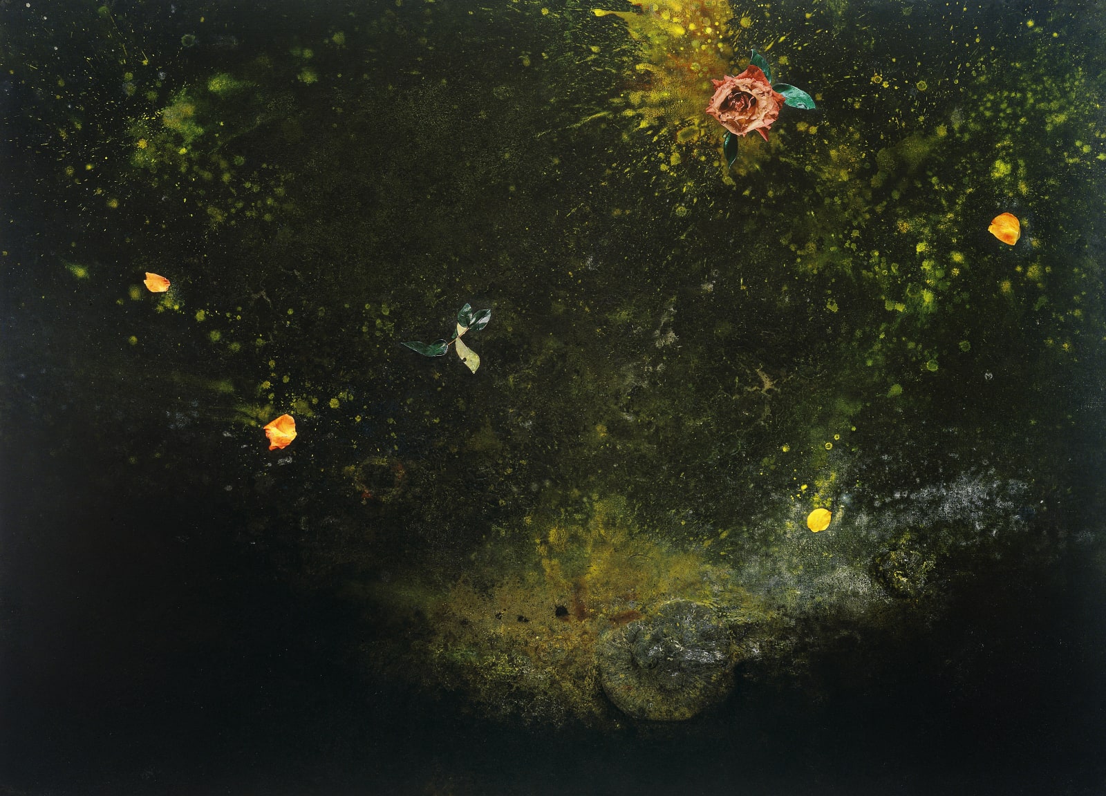 司徒強 SZETO Keung, 星雲 Nebula, 2007