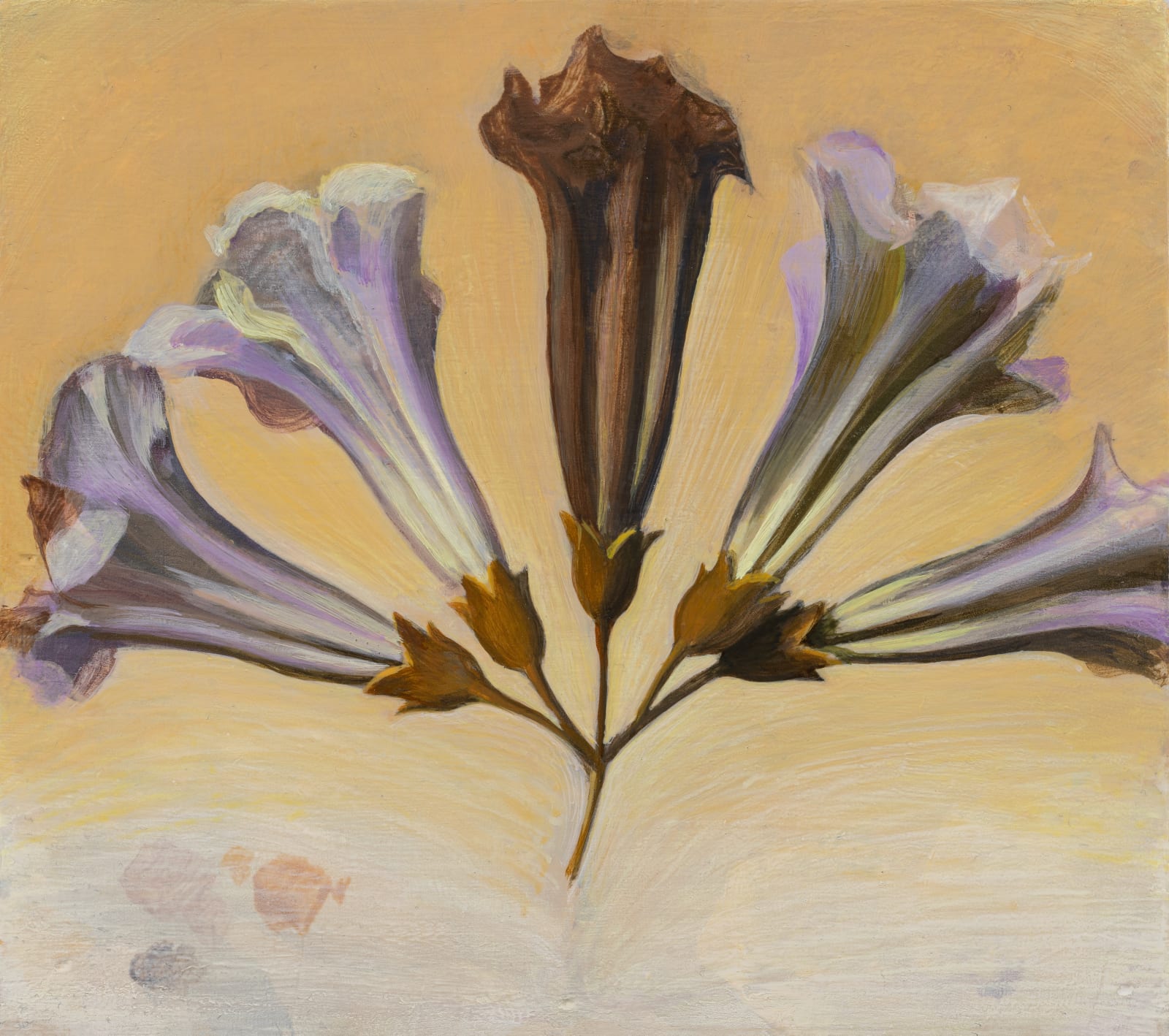 张安 ZHANG An, 泡桐花之三 Paulownia Flower 3, 2022