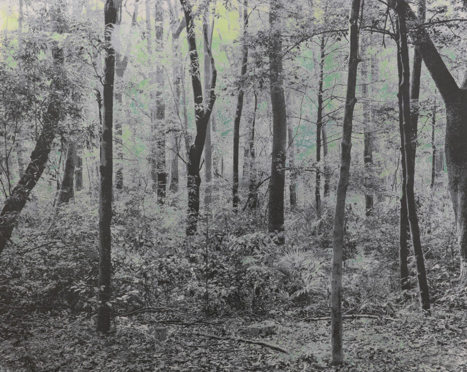 能條雅由 Masayoshi NOJO, 海市蜃樓 #70 Mirage #70, 2021