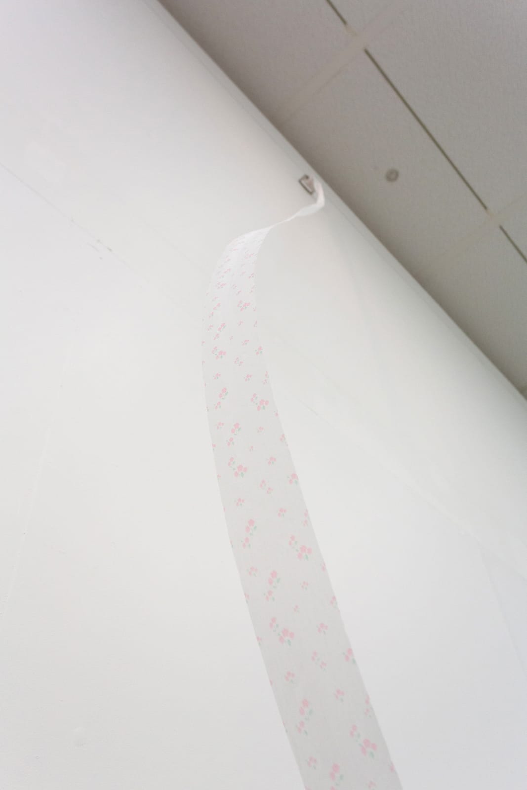 賴志盛 LAI Chih-Sheng, 手紙 Letter, 2019