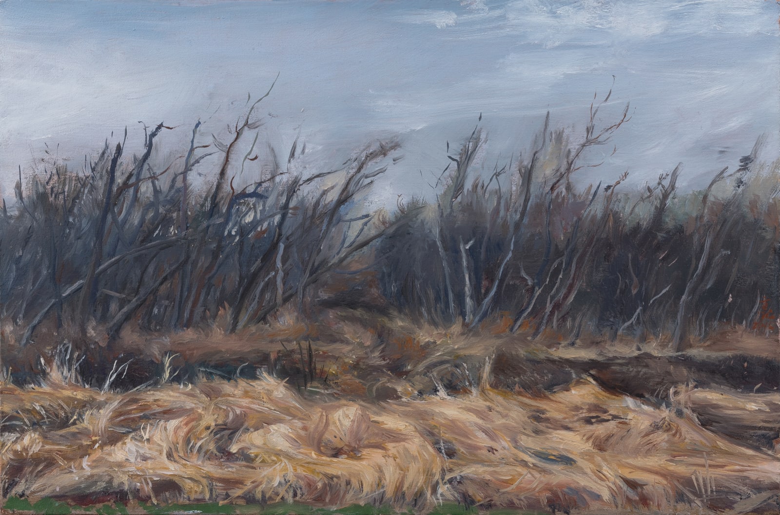 陸亮 LU Liang, 雜樹 Copse, 2014
