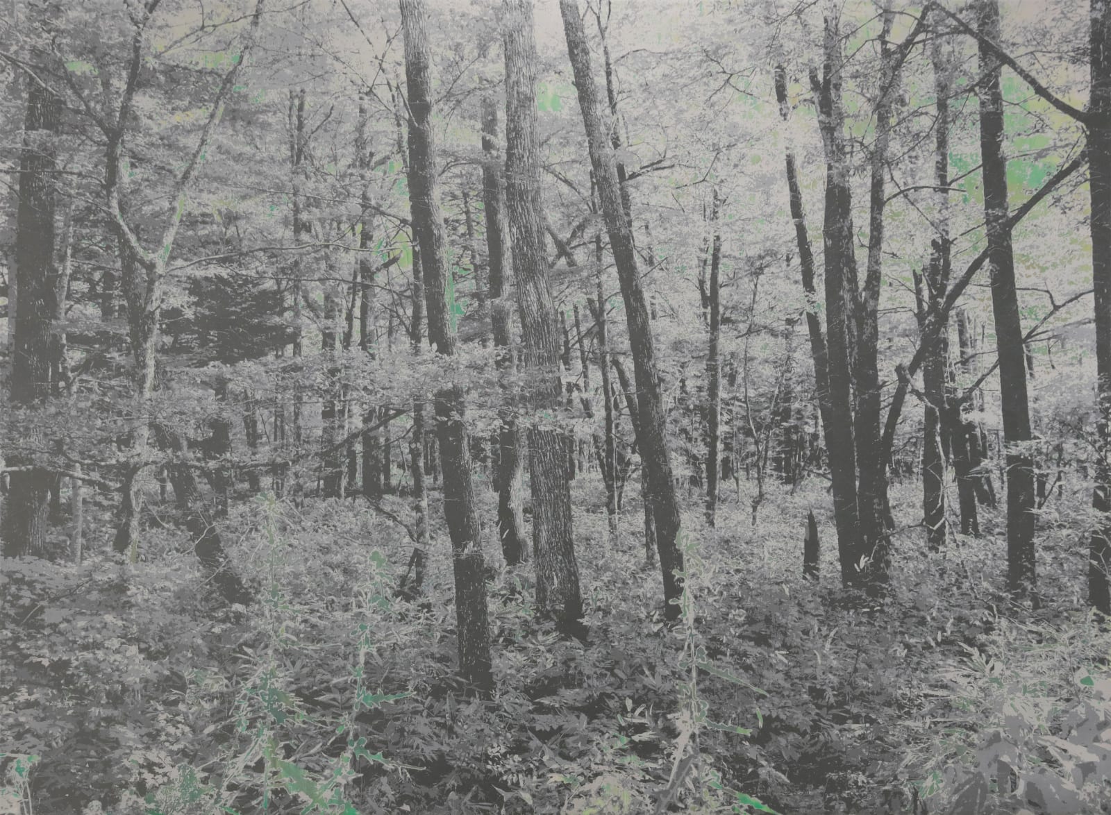 能條雅由 Masayoshi NOJO, 海市蜃樓 #113 Mirage #113, 2025