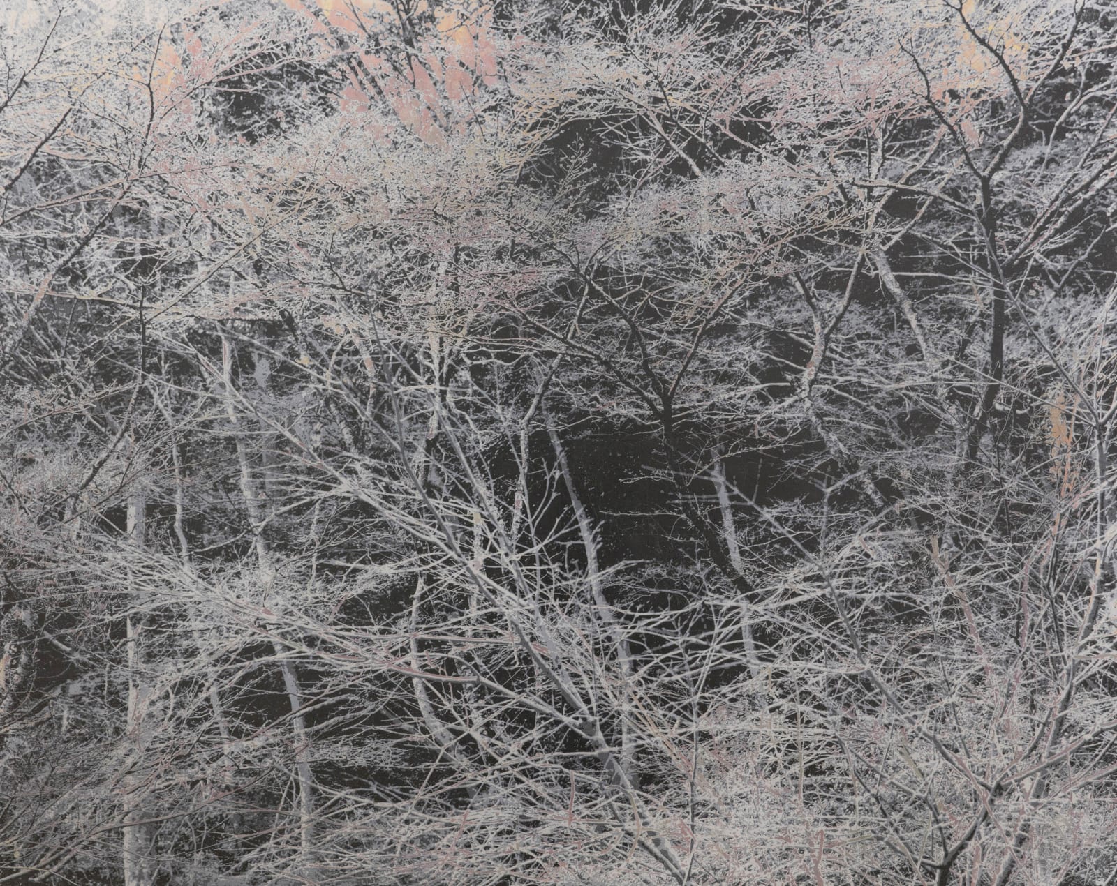 能條雅由 Masayoshi NOJO, 海市蜃樓 #71 Mirage #71, 2021