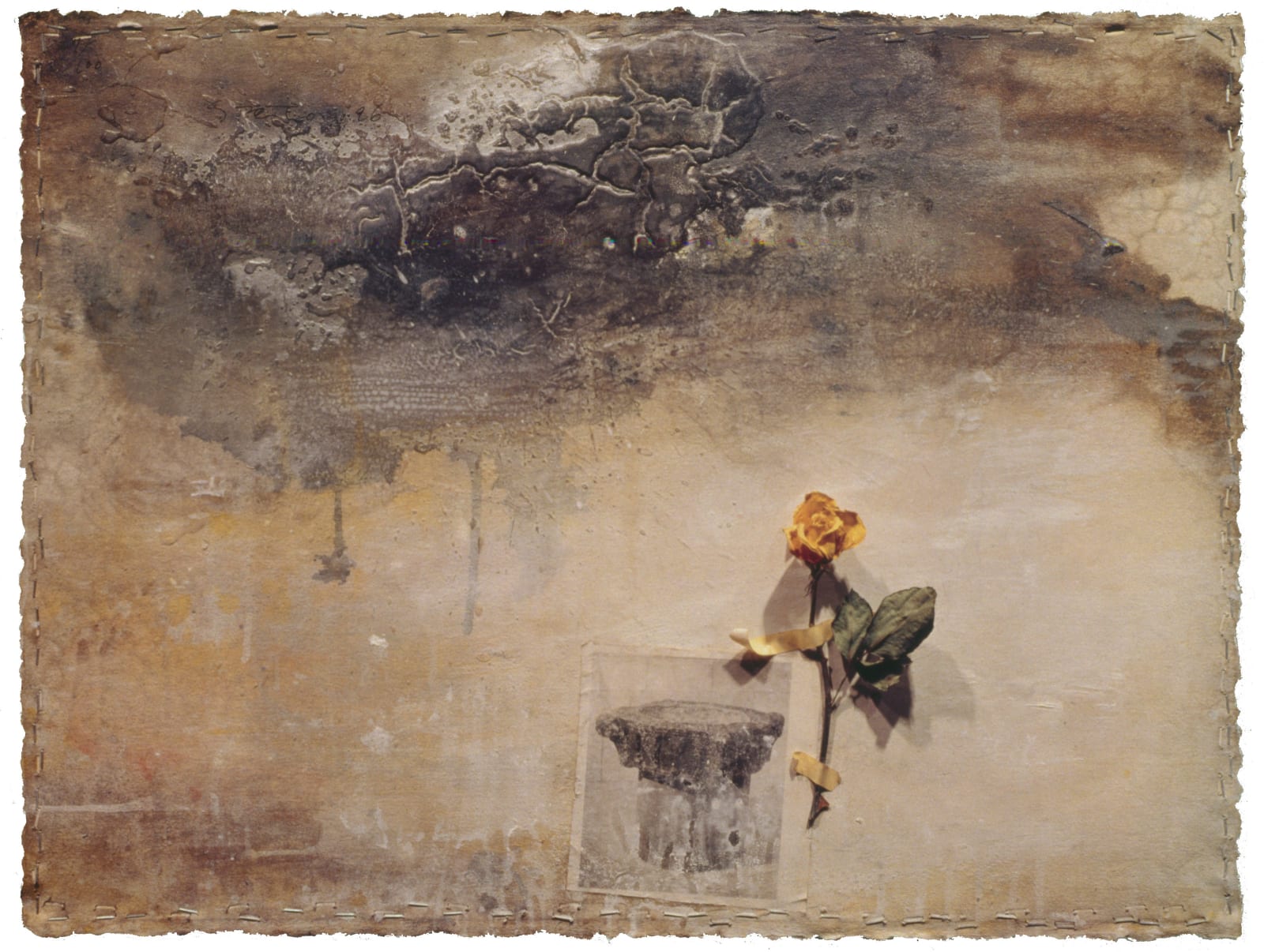 司徒強 SZETO Keung, 黃花 Lamenting, 1996