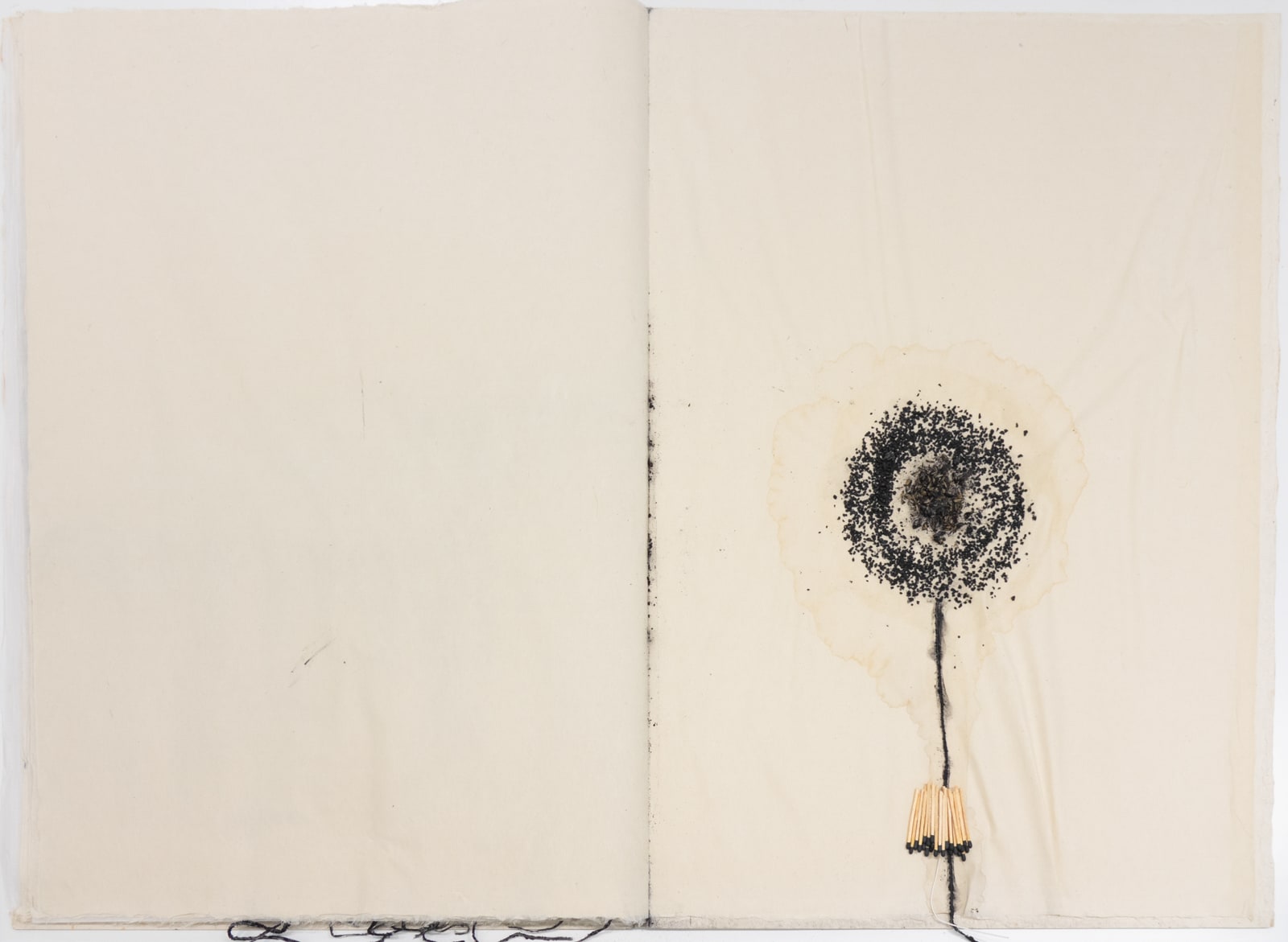蔡國強 CAI Guo-Qiang, 危險書 Danger Book: Suicide Fireworks, 2007
