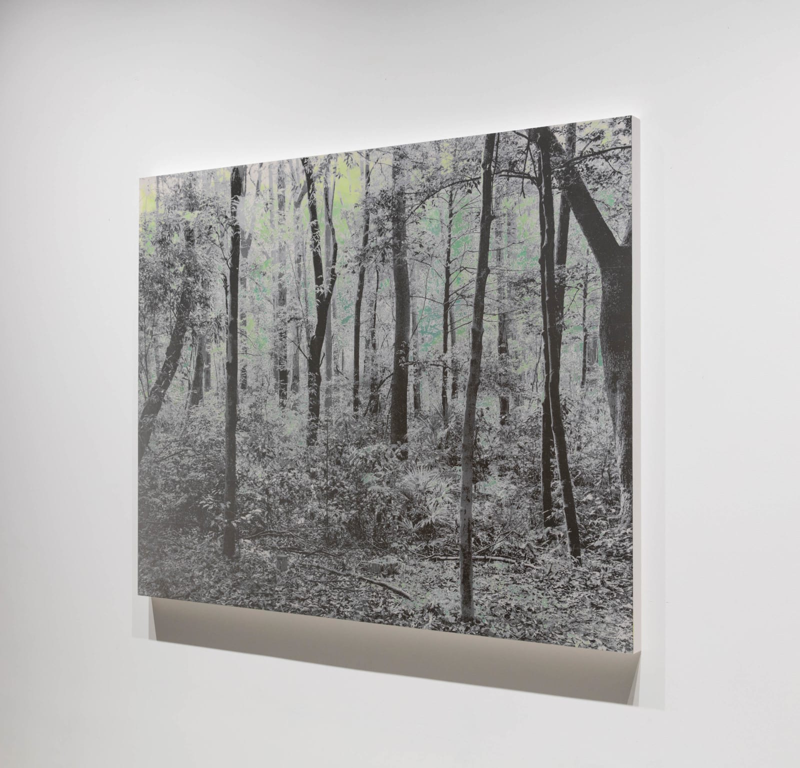 能條雅由 Masayoshi NOJO, 海市蜃樓 #70 Mirage #70, 2021