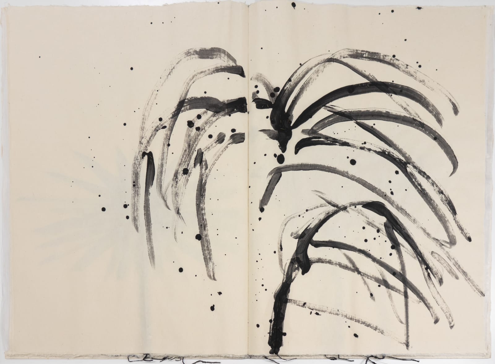 蔡國強 CAI Guo-Qiang, 危險書 Danger Book: Suicide Fireworks, 2007