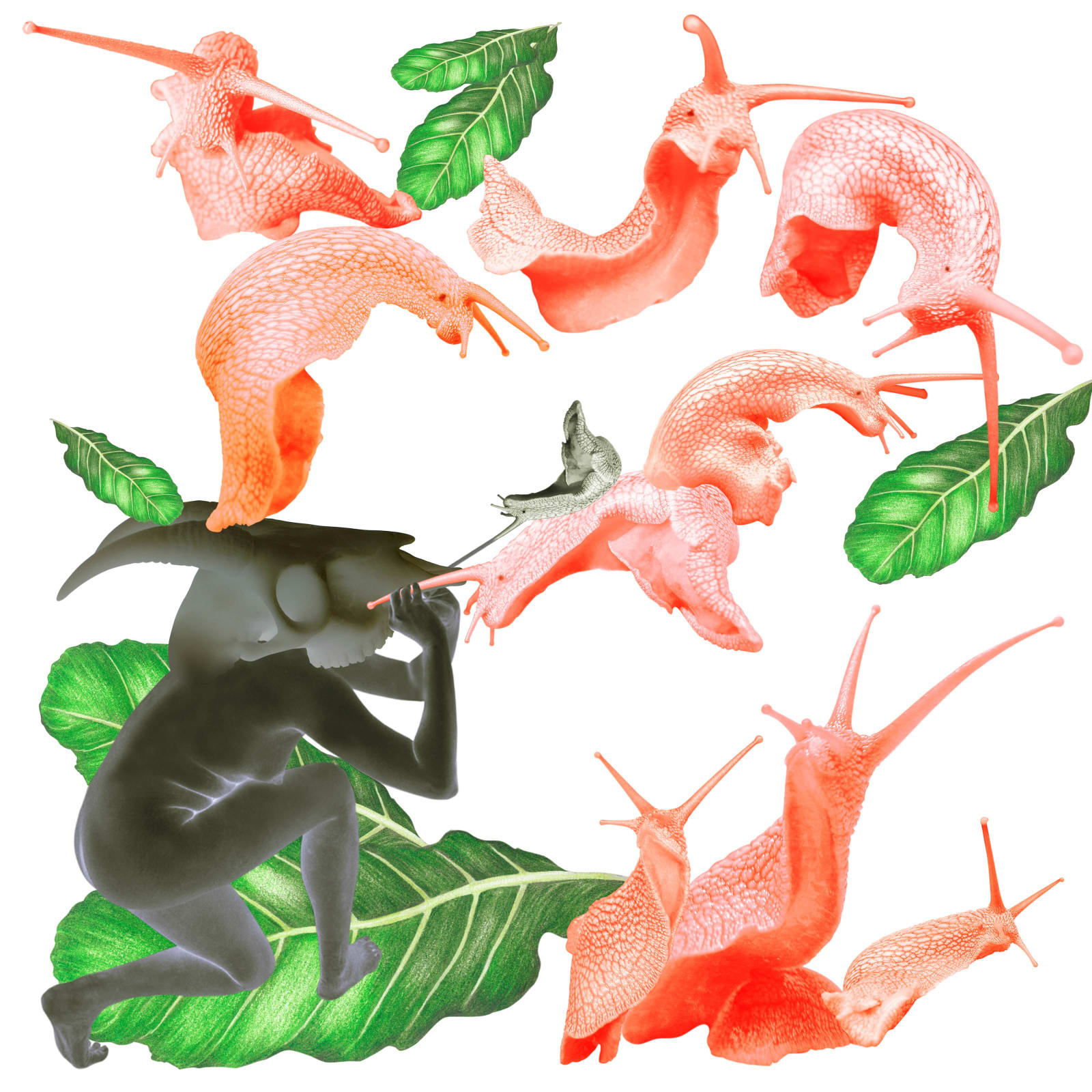 劉世芬 LIU Shih-Fen, 〈穆勒氏花園——羊走迷〉 Műllerian's Garden Sheep Wandering, 2013