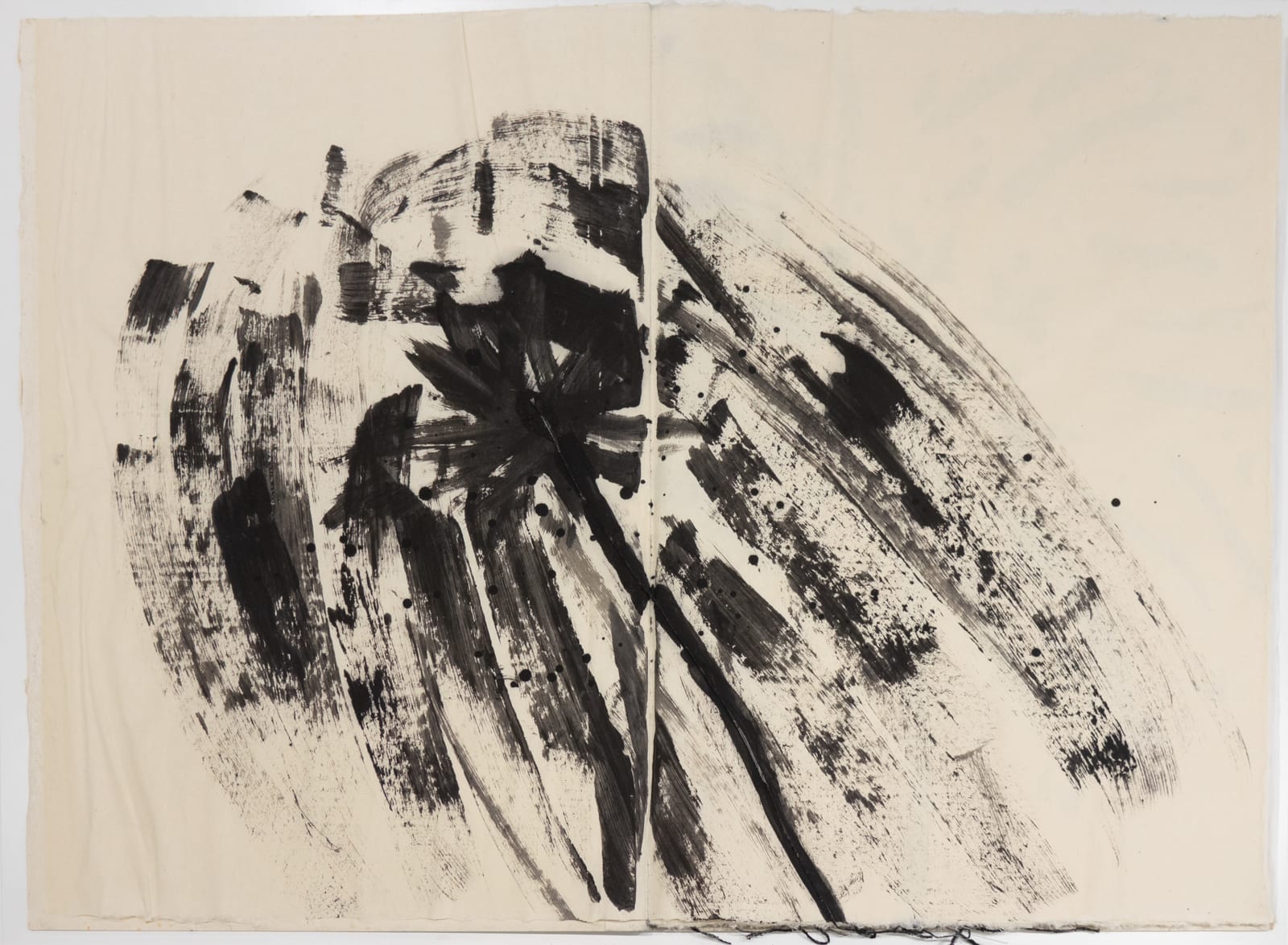 蔡國強 CAI Guo-Qiang, 危險書 Danger Book: Suicide Fireworks, 2007