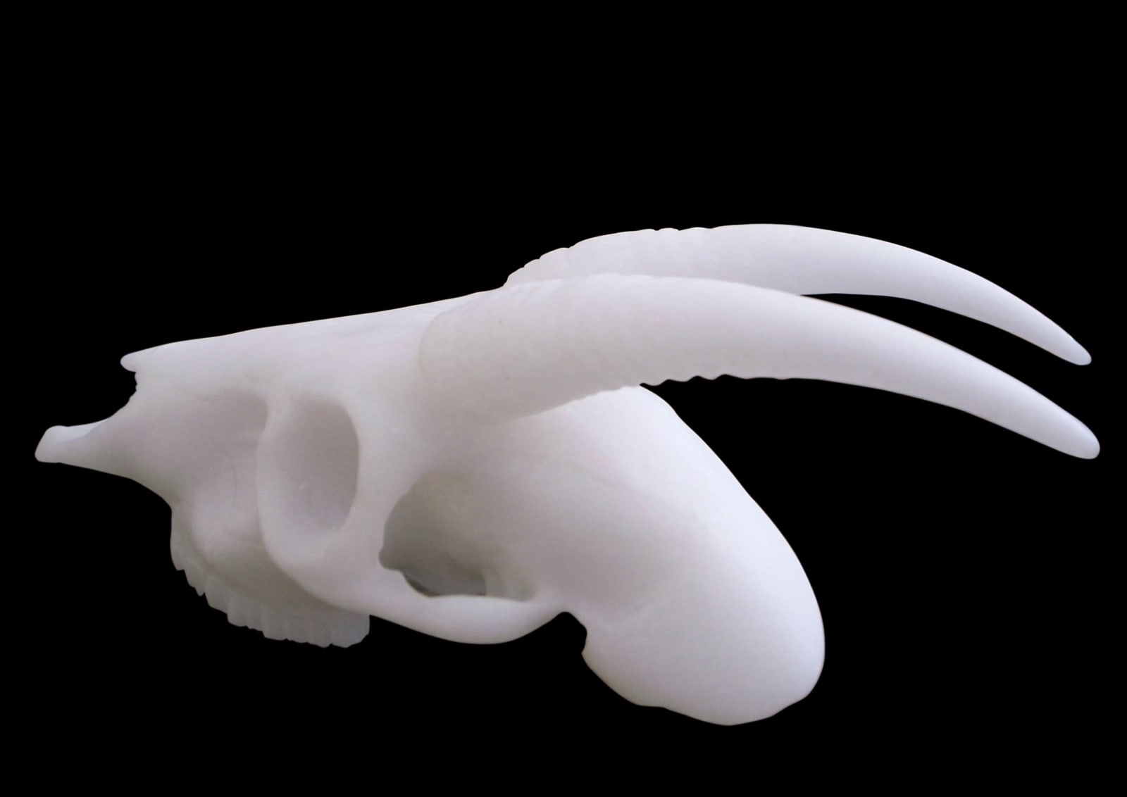 劉世芬 LIU Shih-Fen, 〈穆勒氏花園——羊走迷〉 Műllerian's Garden Sheep Wandering, 2013