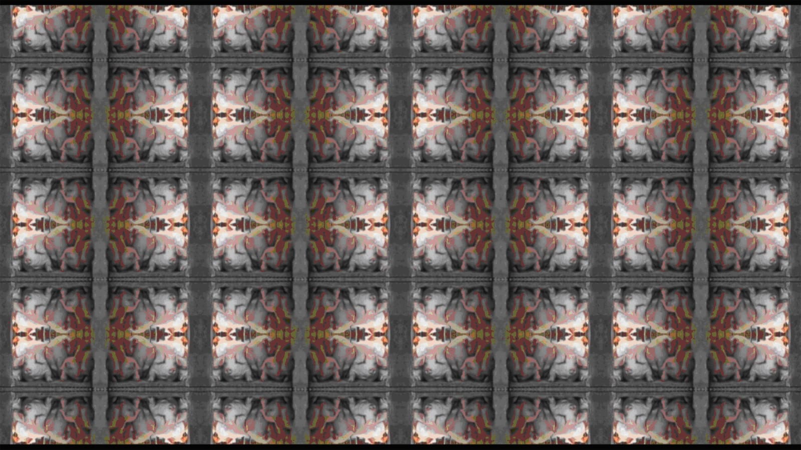 吳長蓉 WU Chang Jung, 紀錄片II - 家興 Documentary II - Family Prosperity, 2009