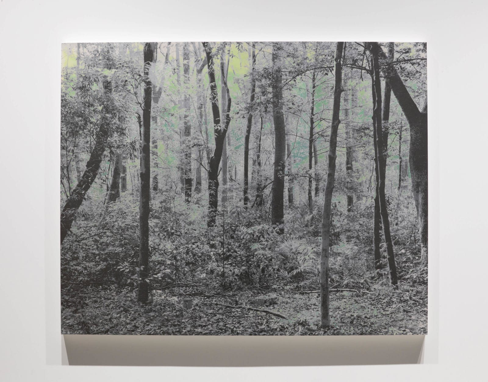 能條雅由 Masayoshi NOJO, 海市蜃樓 #70 Mirage #70, 2021