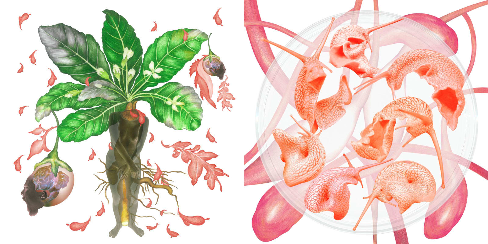 劉世芬 LIU Shih-Fen, 〈穆勒氏花園——羊走迷〉 Műllerian's Garden Sheep Wandering, 2013