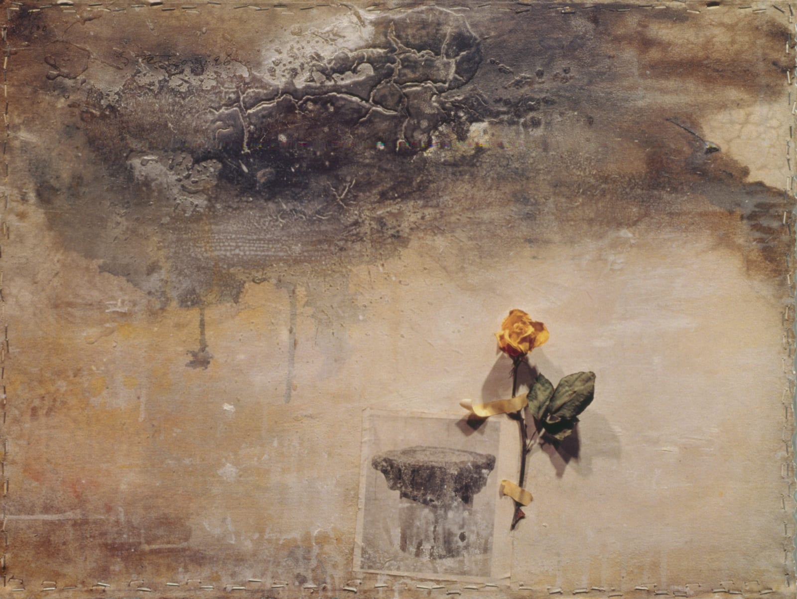 司徒強 SZETO Keung, 黃花 Lamenting, 1996