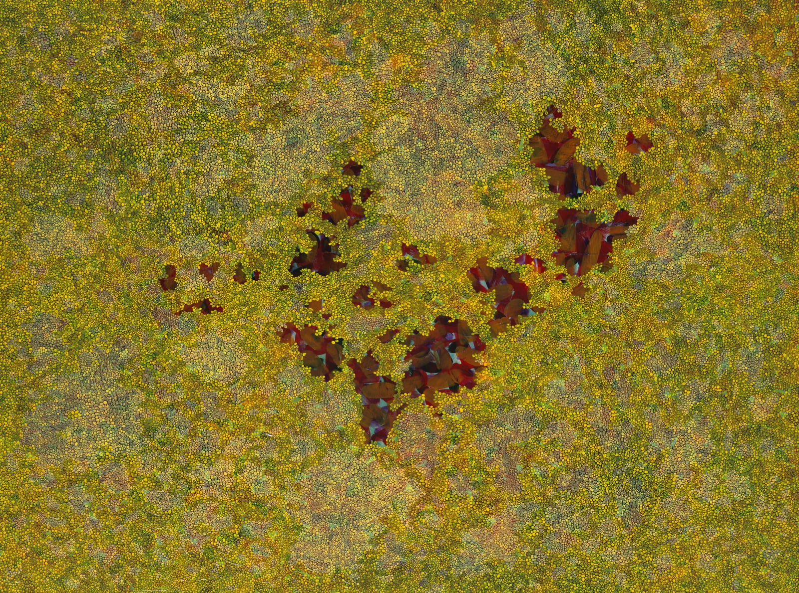 王玫玲 Mei Ling WANG, 春日 I Spring I, 2017