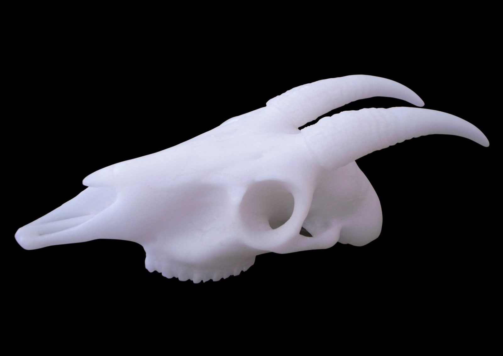 劉世芬 LIU Shih-Fen, 〈穆勒氏花園——羊走迷〉 Műllerian's Garden Sheep Wandering, 2013