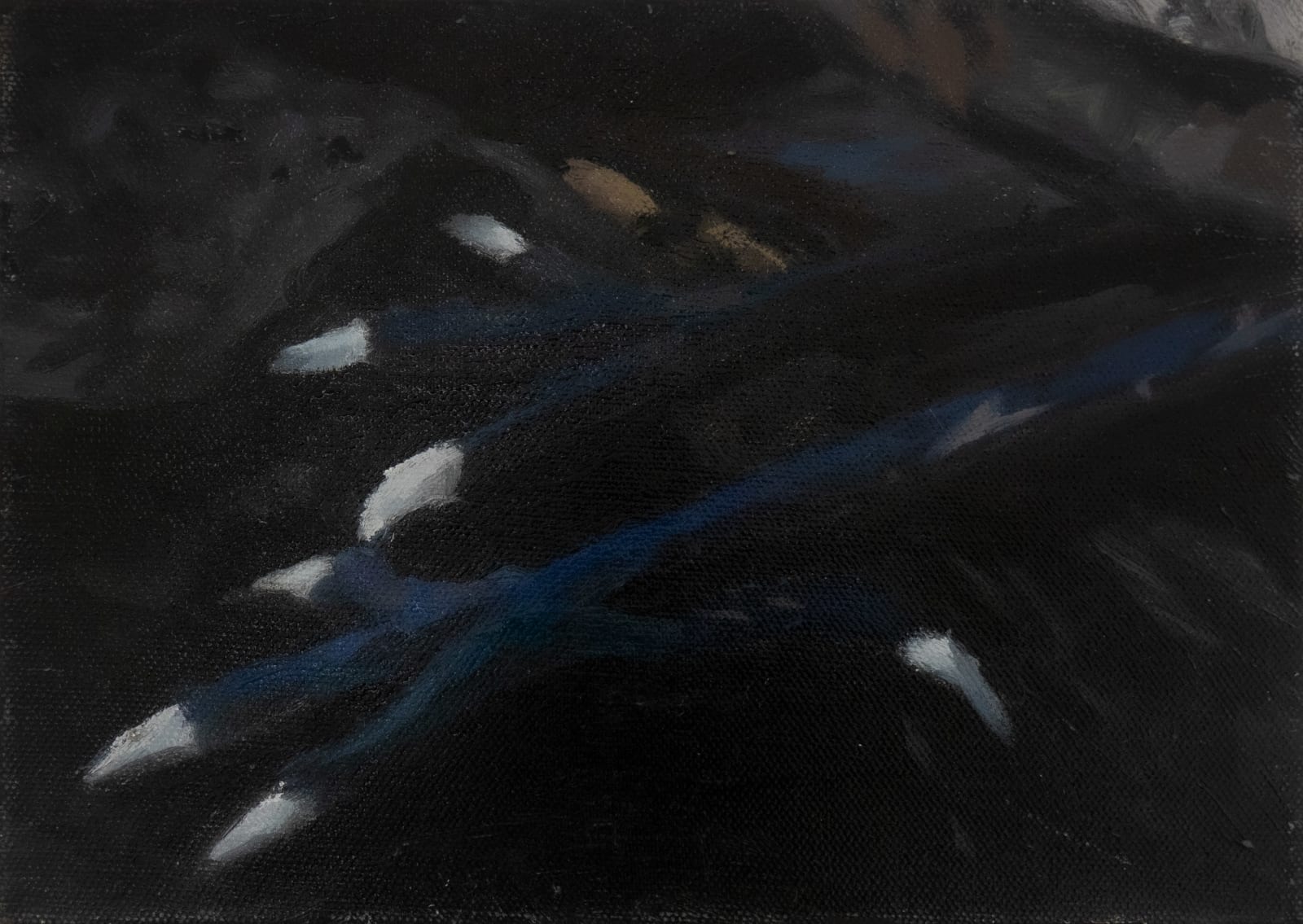 林彥瑋 LIN Yen Wei, 側視-爪（習作） Peripheral Vision-Claws (Study), 2017