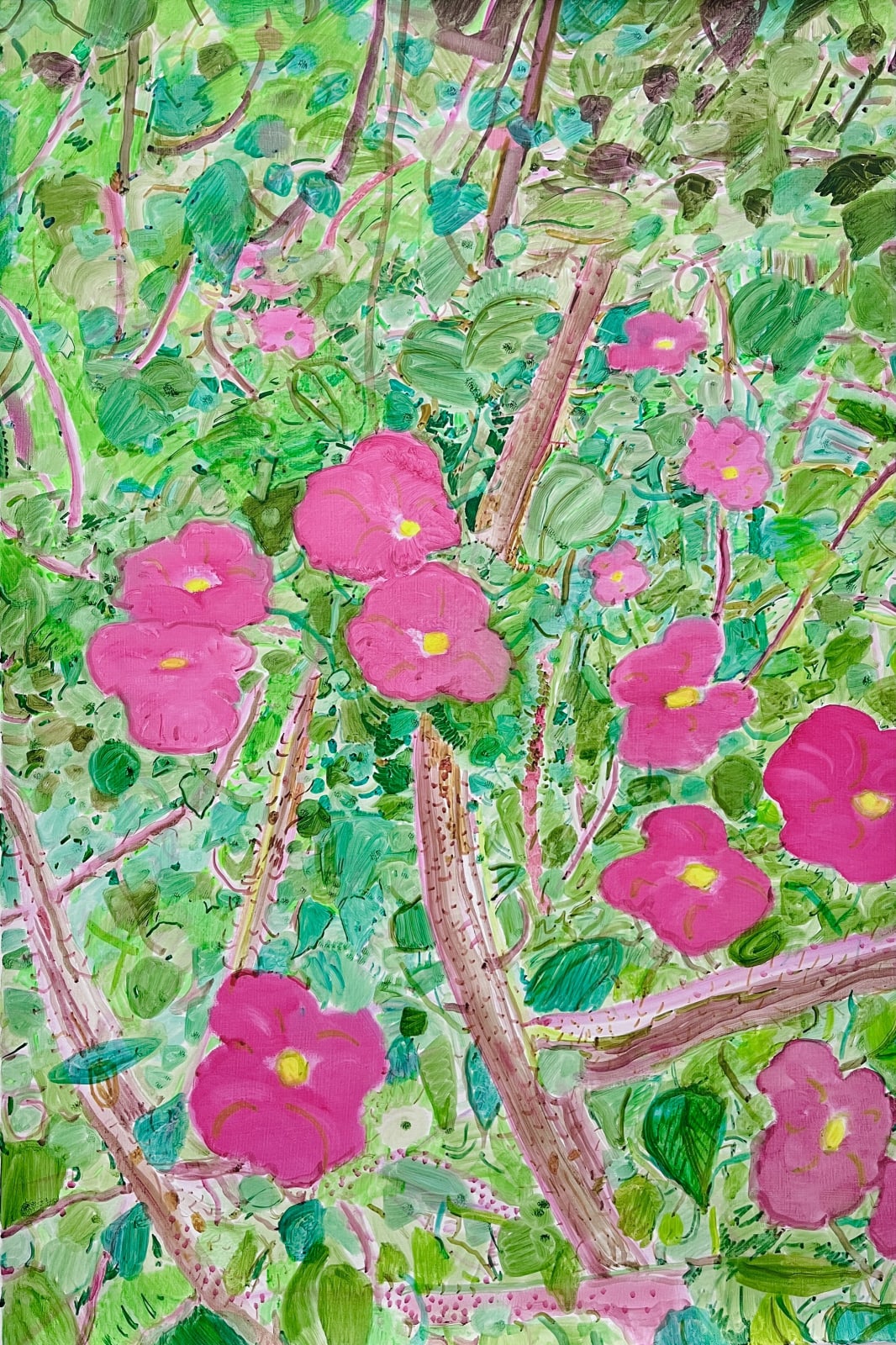 潘麒方 PAN Chi-Fang, 麒麟花 Siamese Lucky Plant, 2024