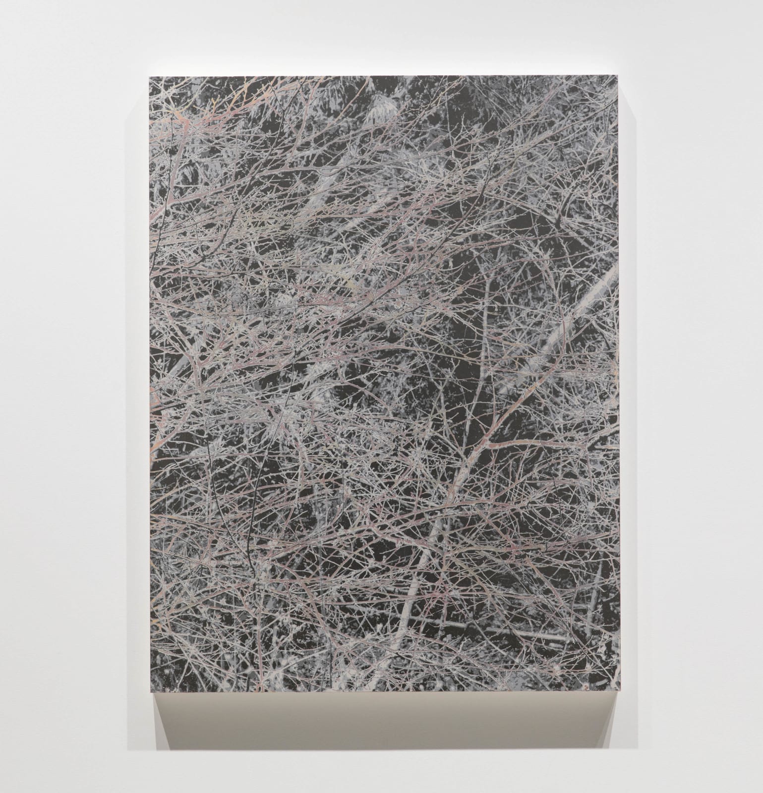 能條雅由 Masayoshi NOJO, 無題 Untitled, 2021