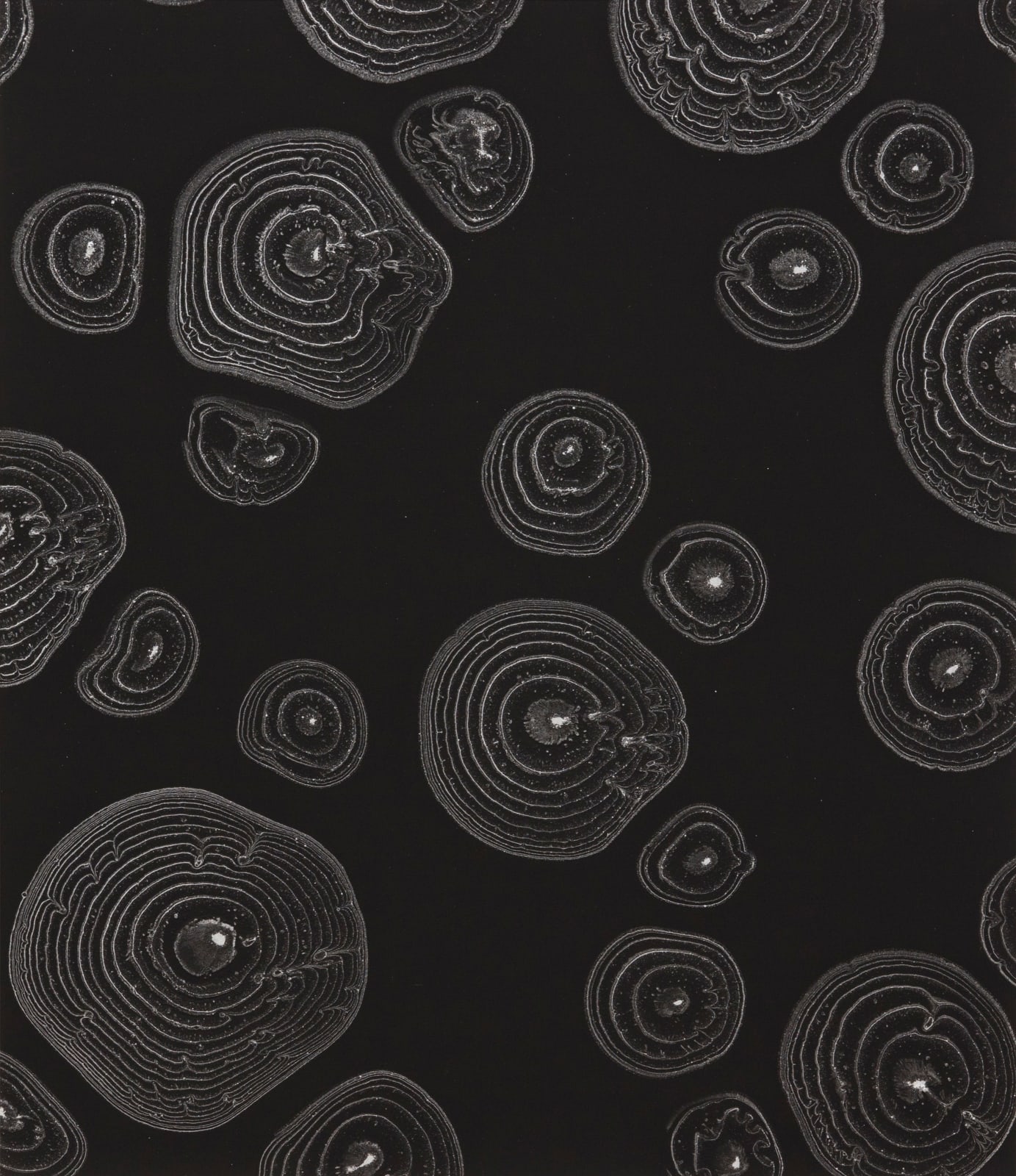 能條雅由 Masayoshi NOJO, 連結 #9 Link #9, 2022