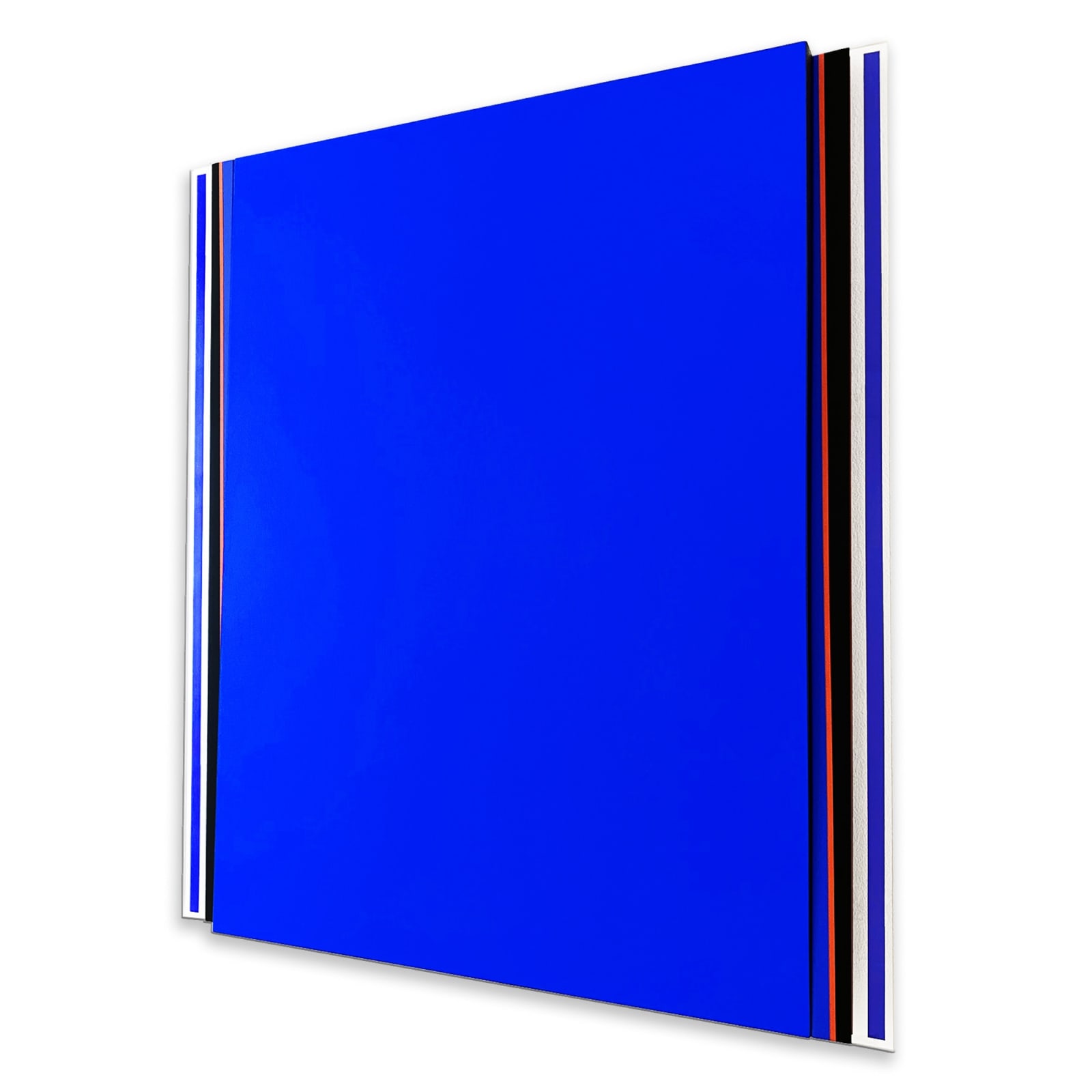 René Ugarte, Plan Bleu, 2024