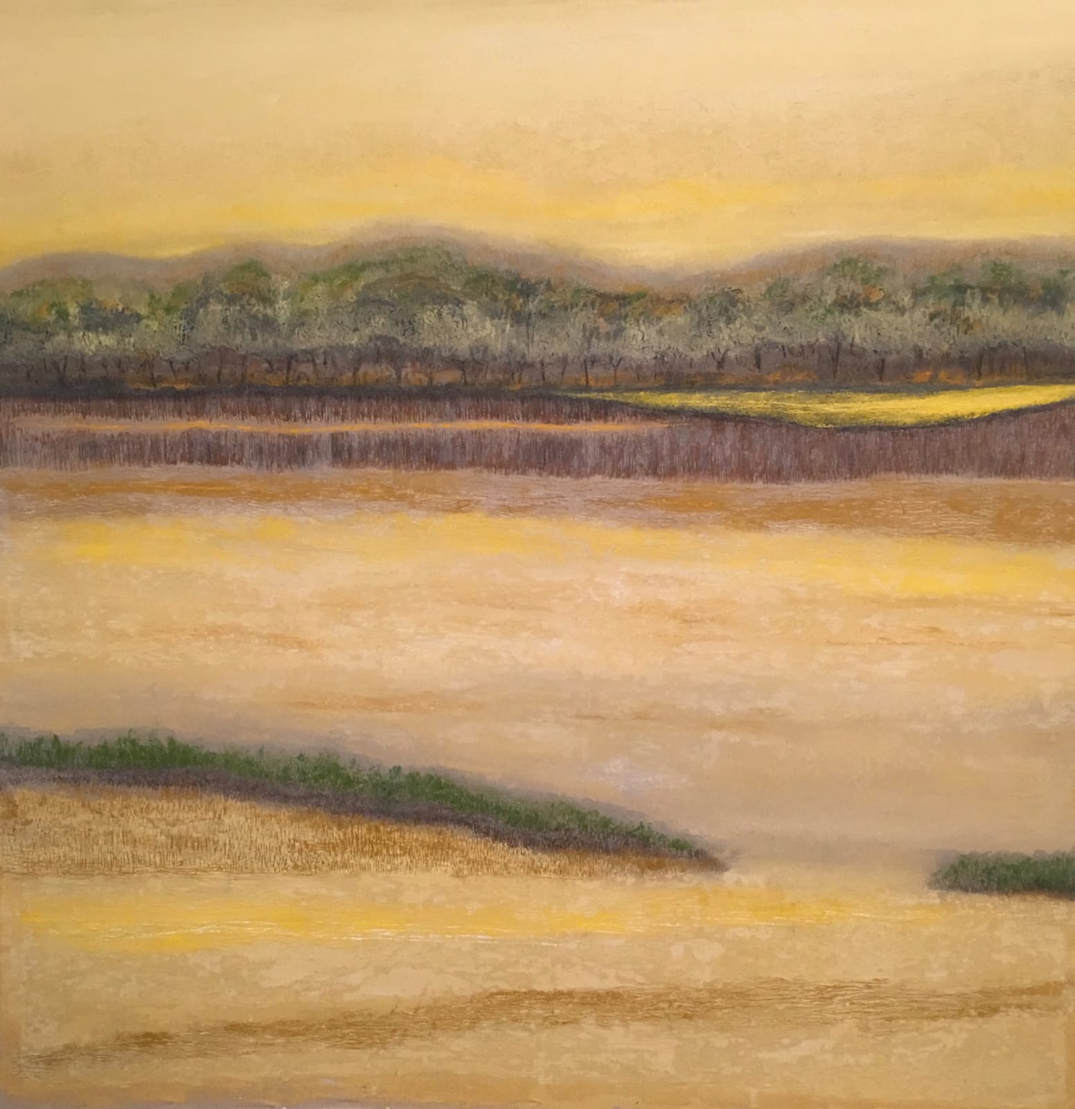 Ismael Mundaray, Marea Baja 5, 2018