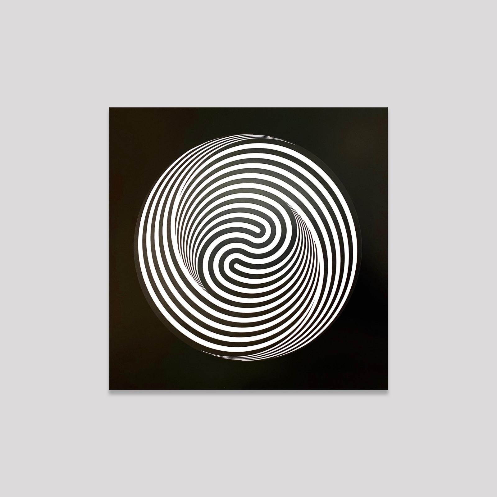 Marina Apollonio, Dinamica Circolare 6Z+R, 1965-2021