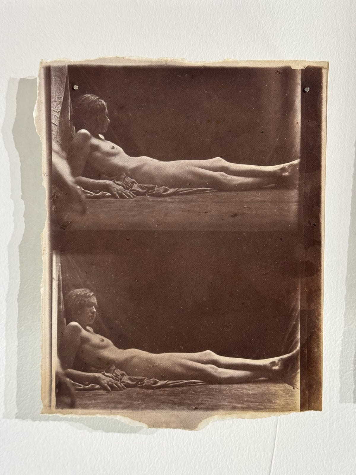 Hal Hirshorn, Untitled, c. 2000–2025
