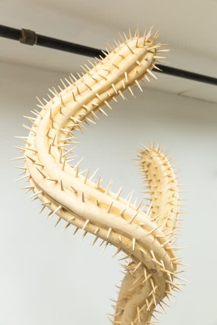Raul De Lara, My friend accidentally killed a Saguaro in New York City, 2021