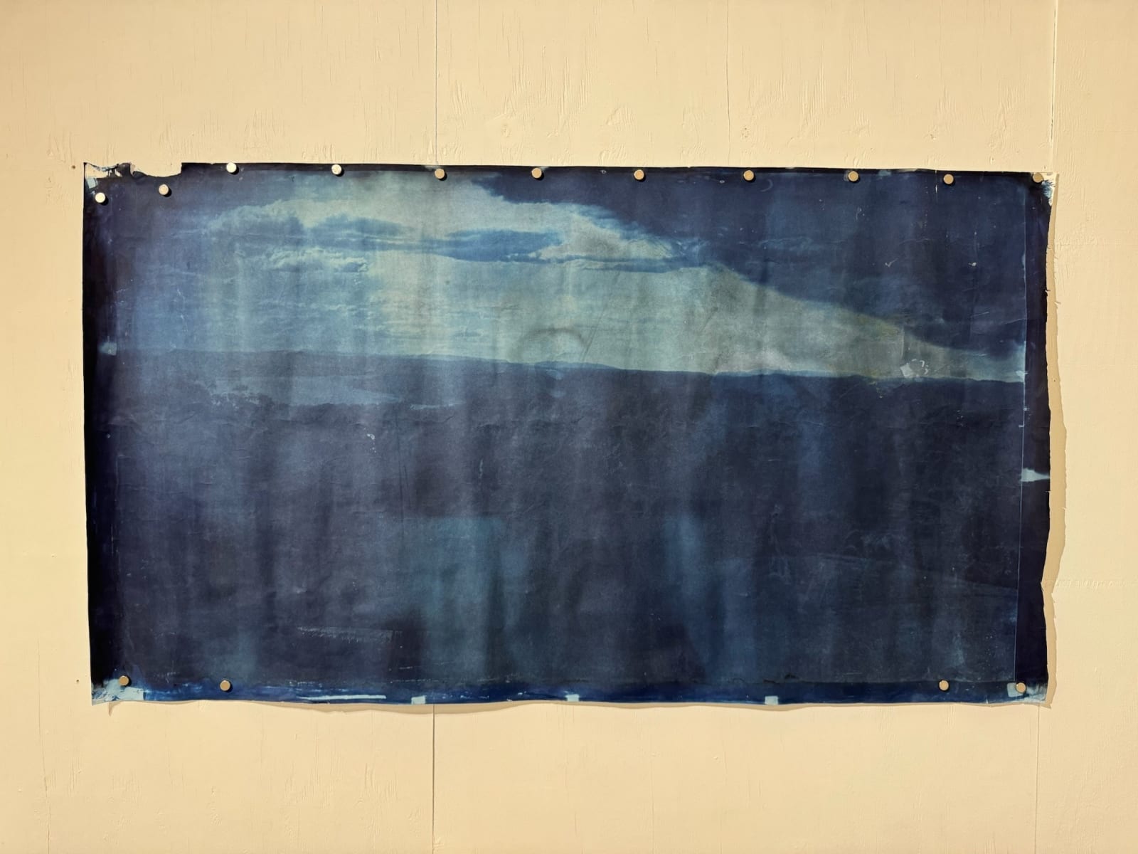 Hal Hirshorn, c. 2000–2025