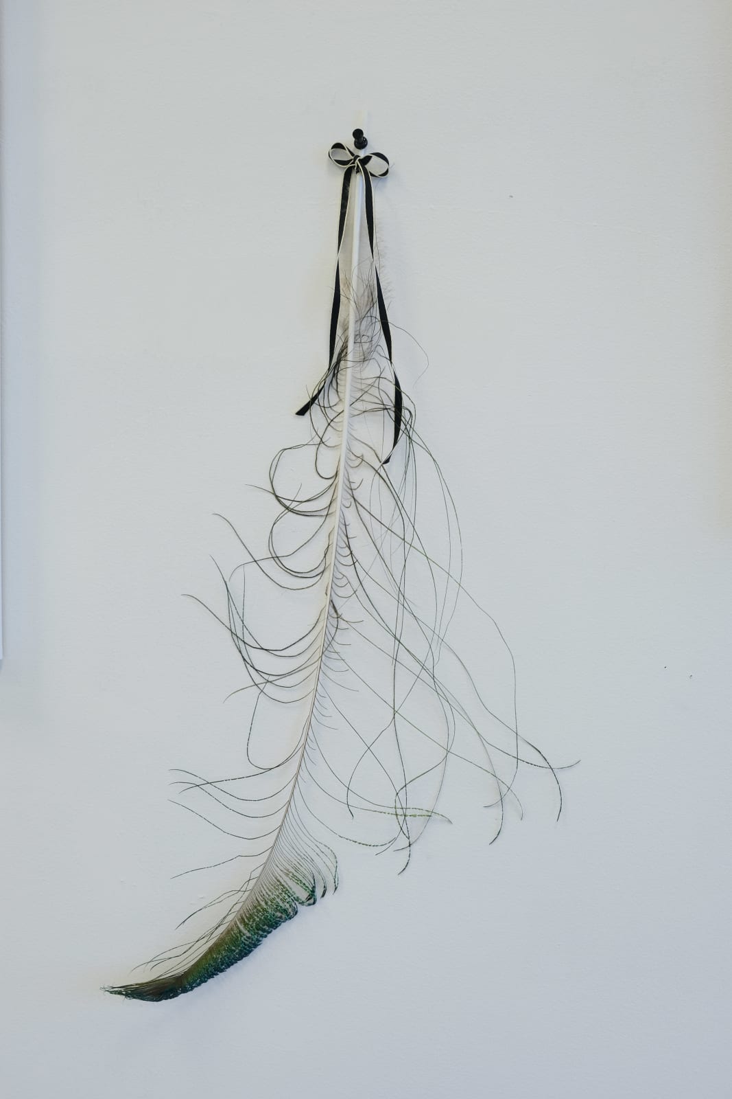 Margaret Innerhofer, Serendipity, 2022