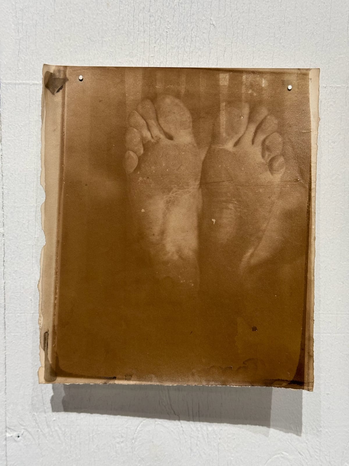 Hal Hirshorn, Untitled, c. 2000–2025