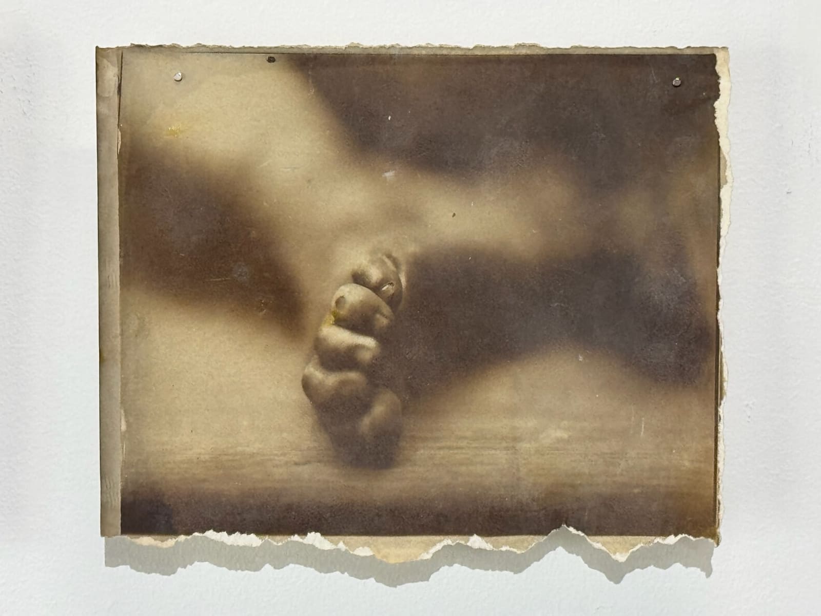 Hal Hirshorn, Untitled, c. 2000–2025